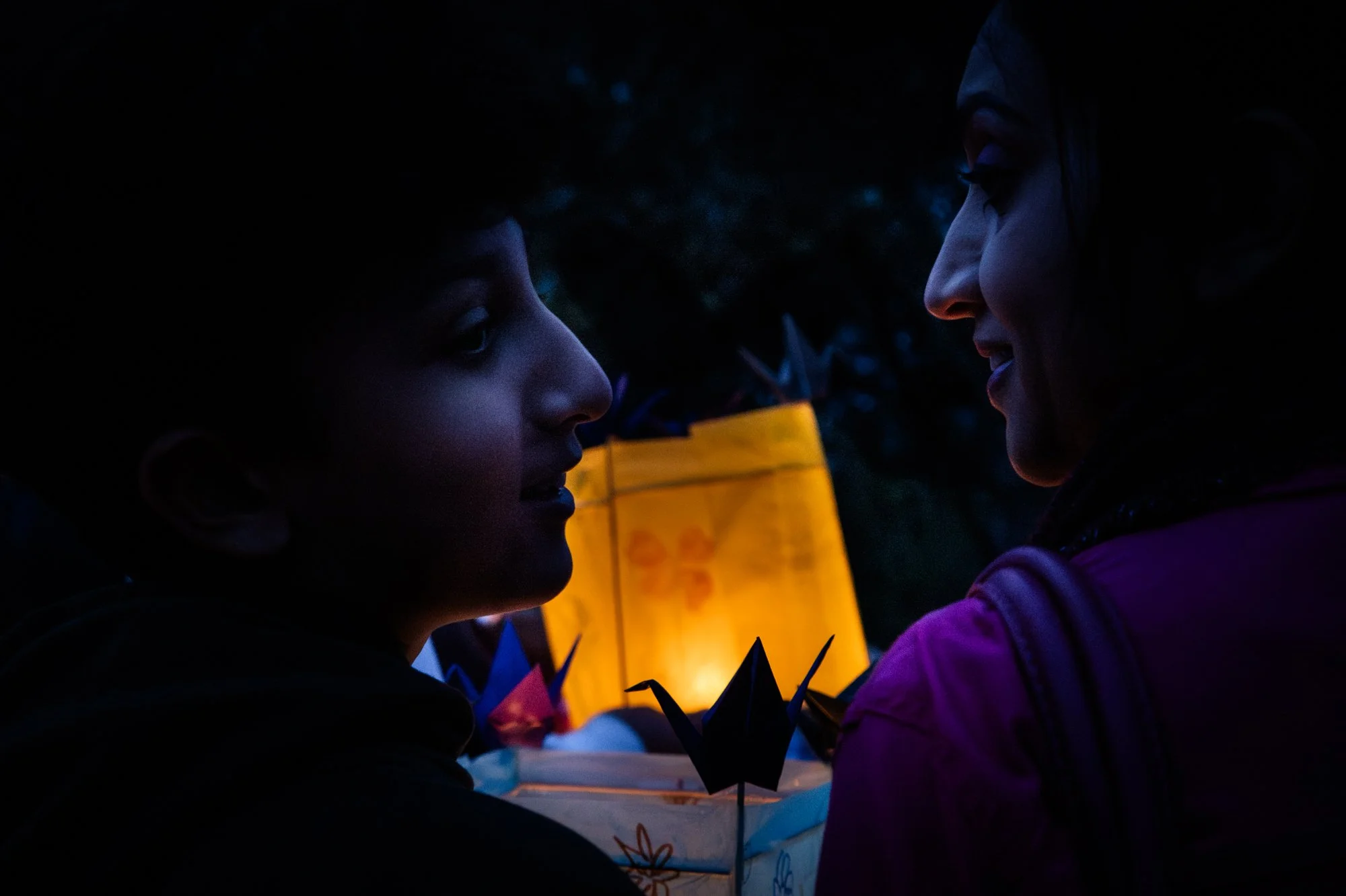 Lantern 5.jpg