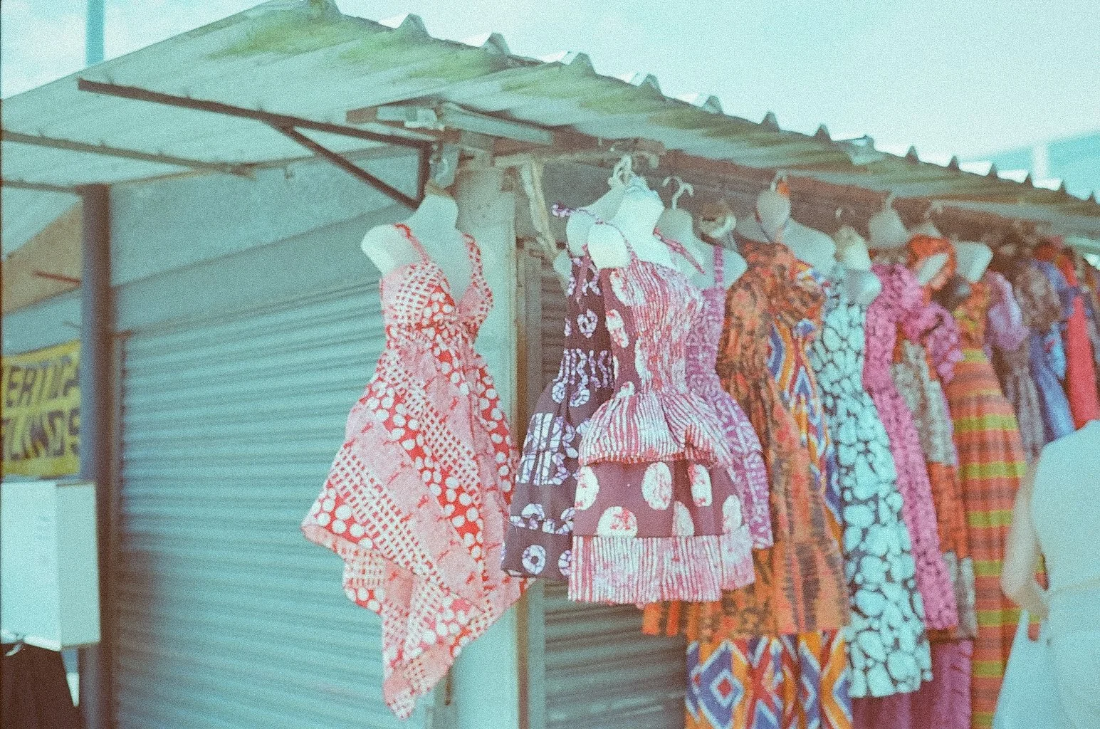 M6 Kodacolor 100_4.jpg