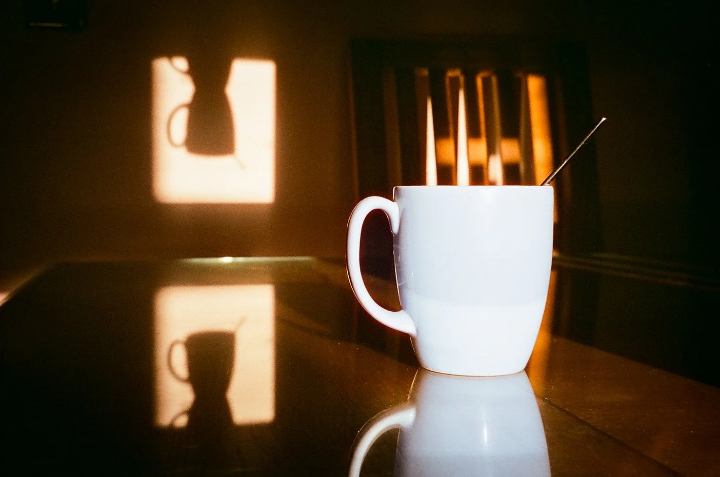 CineStill 400T_Jan 2026