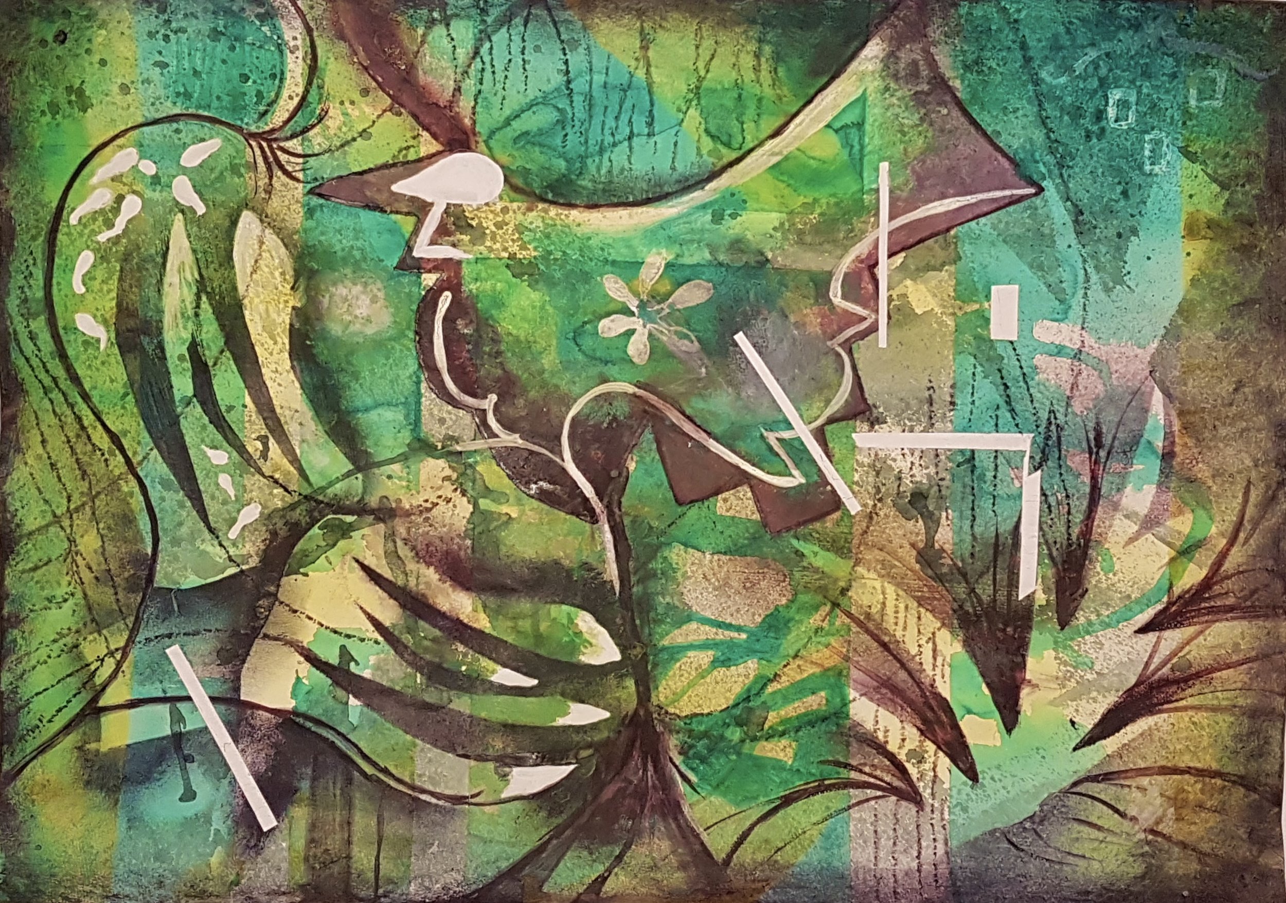 S017.jpg