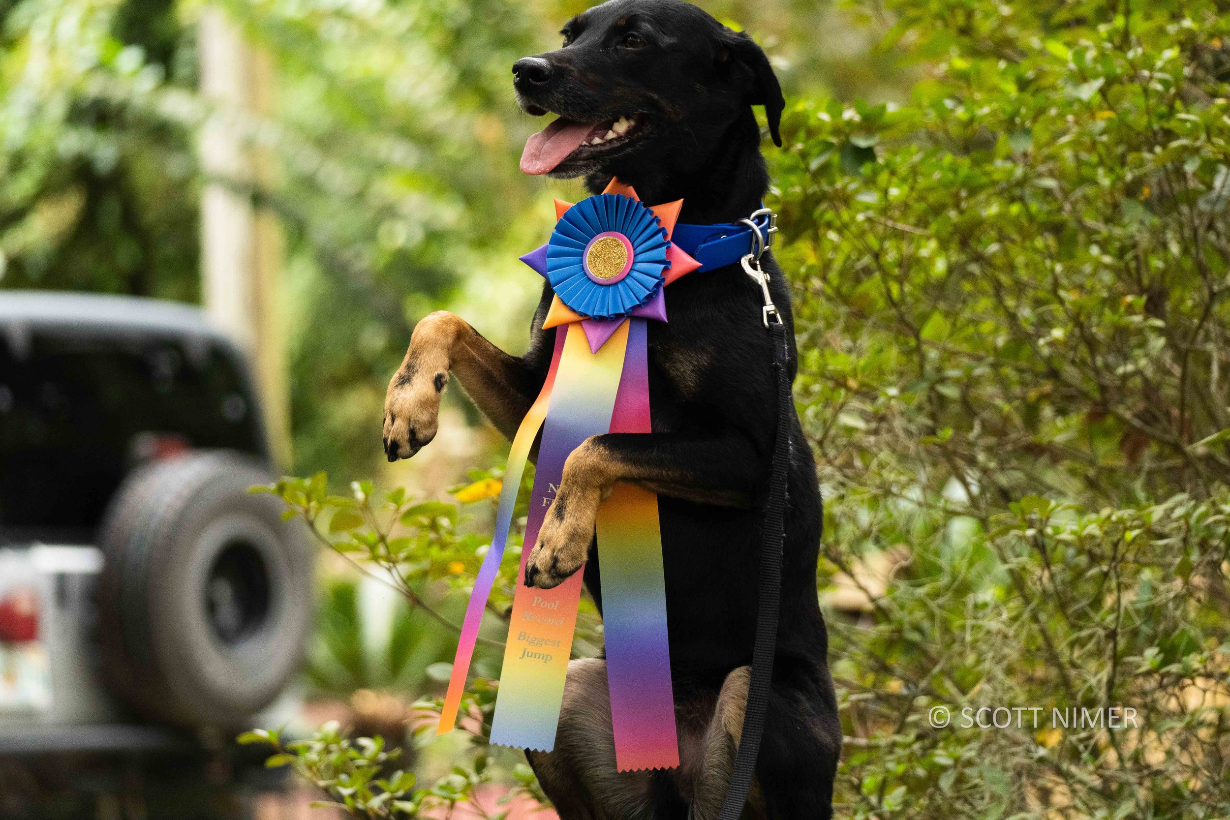 IDS-Sept30-WInning-13.jpg