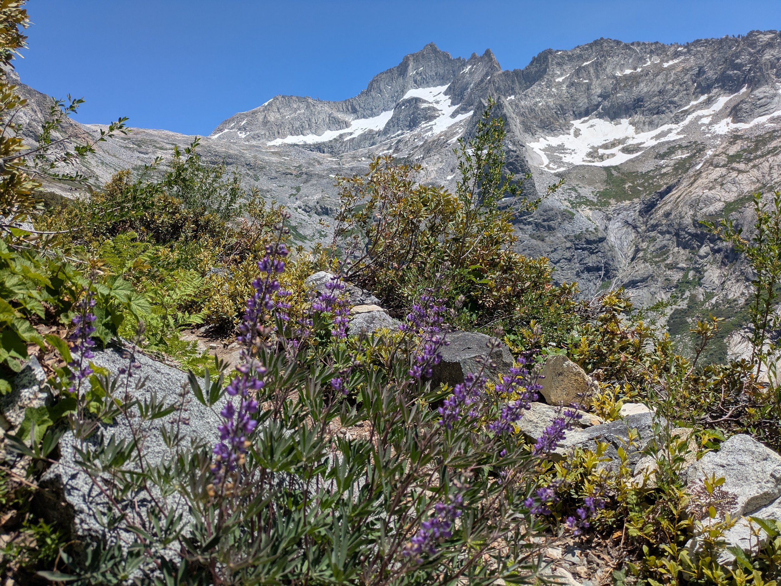 PXL_20250701_210923545.jpg