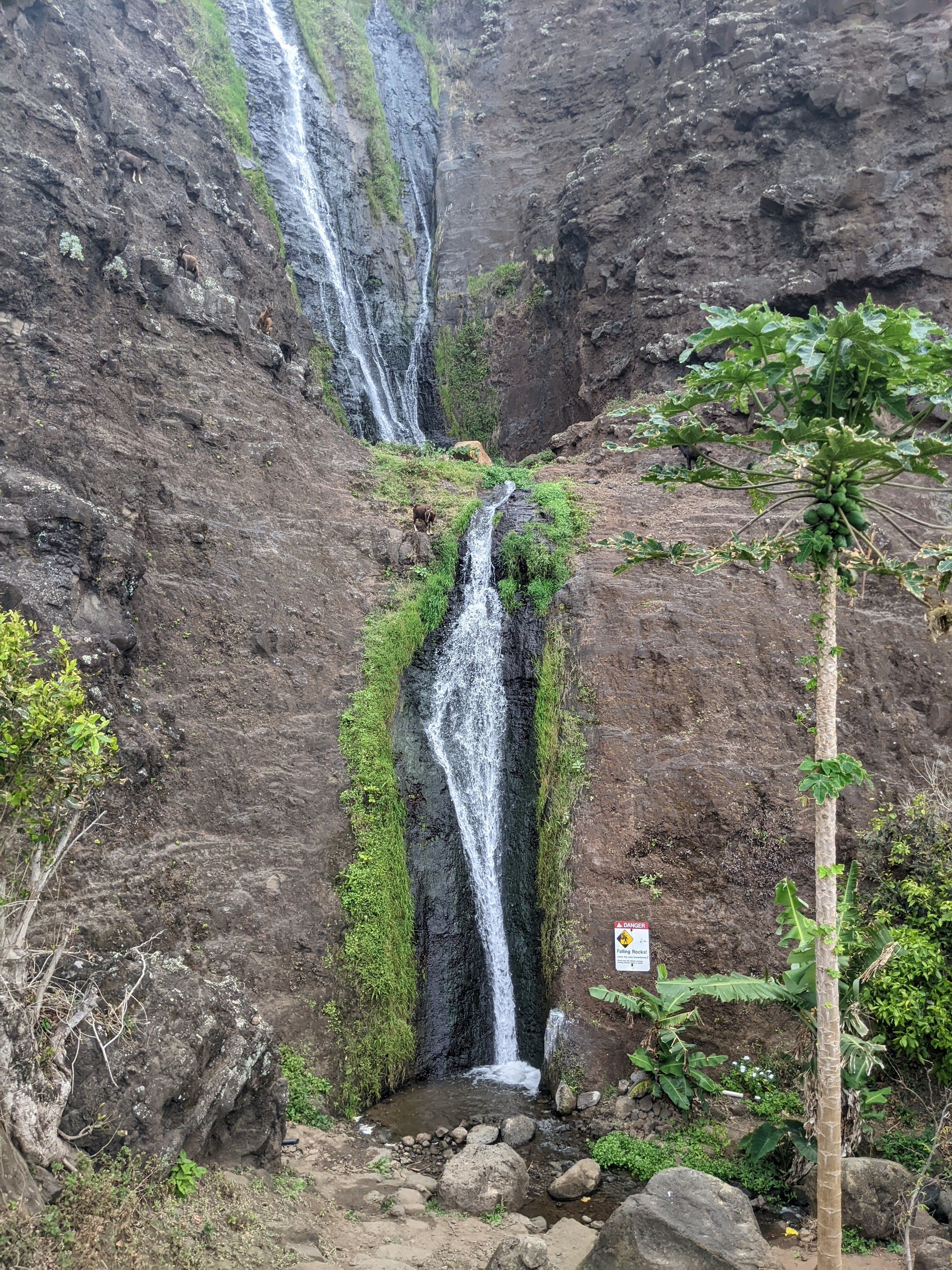 Kalalau k.jpg