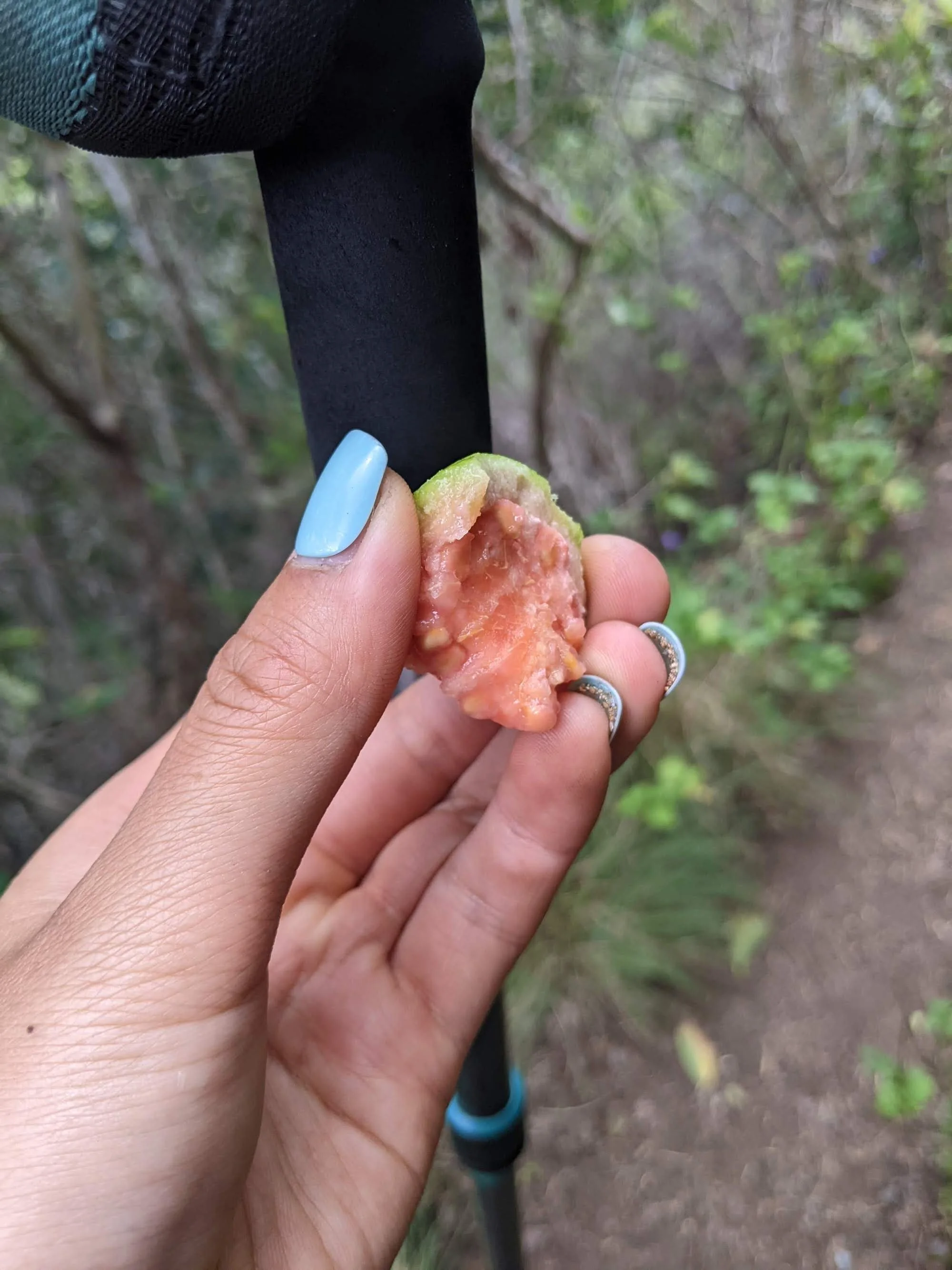 Kalalau Q.jpg