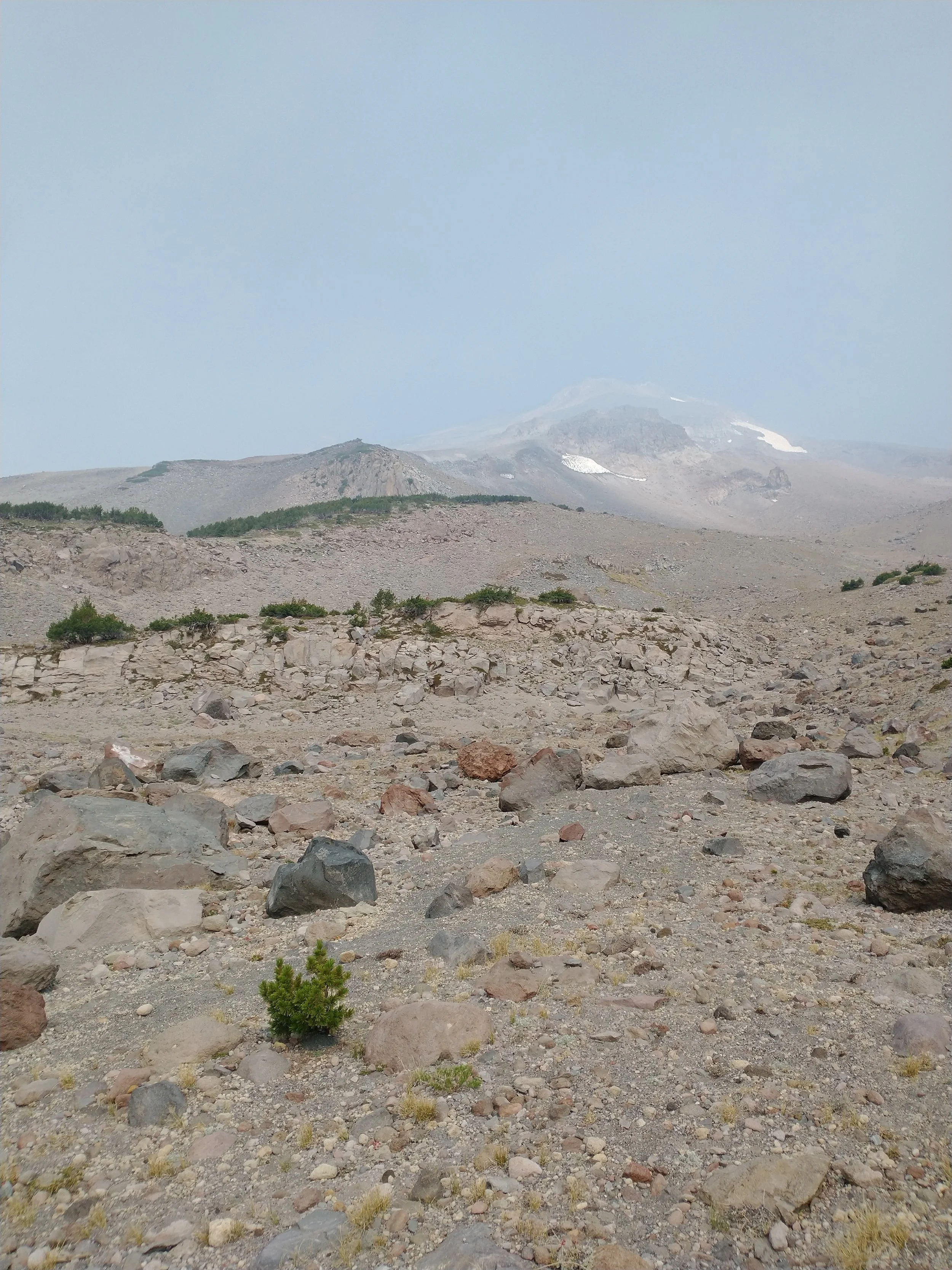 Shasta D1 21.jpg