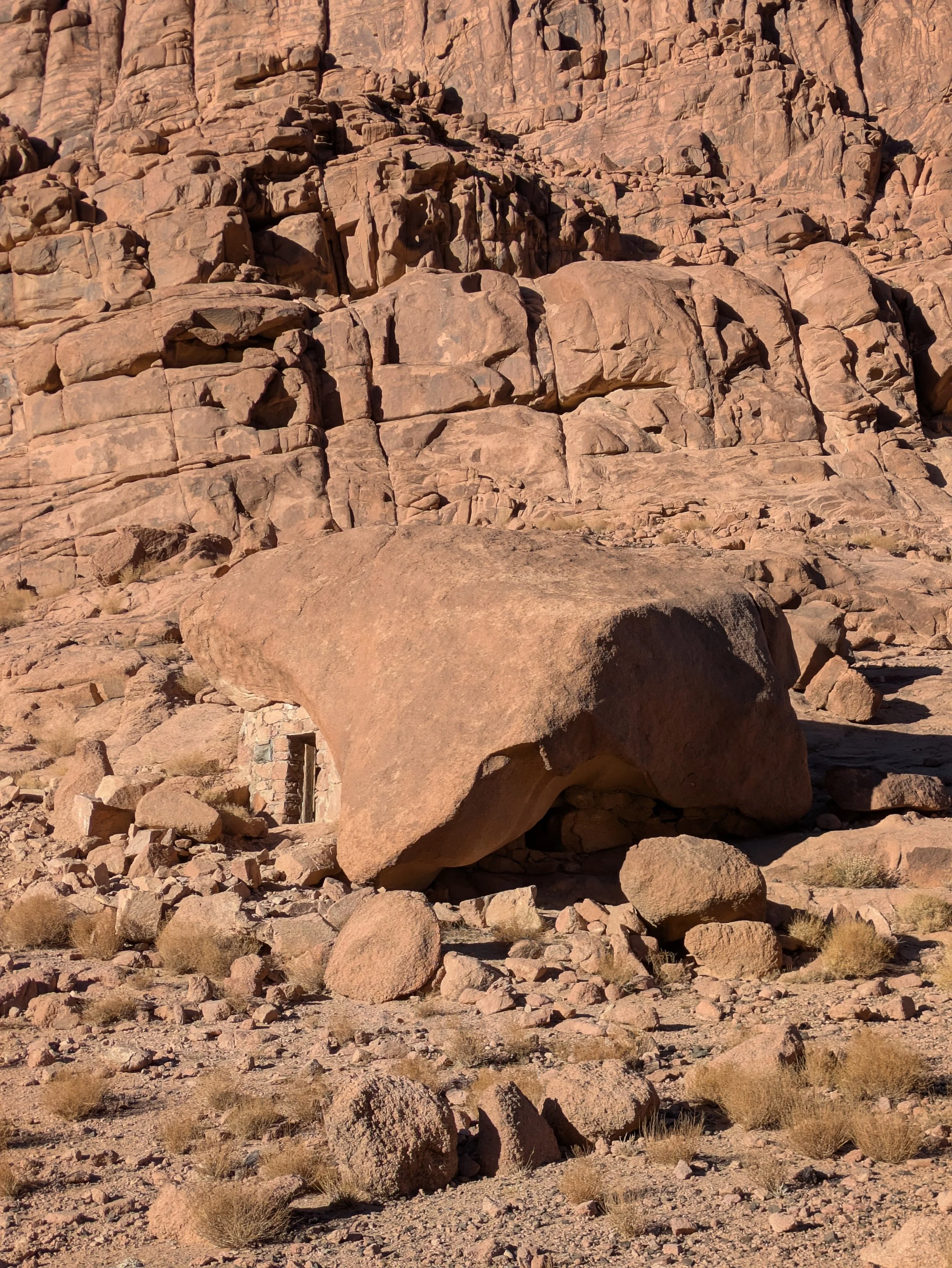 PXL_20241226_061749270.jpg