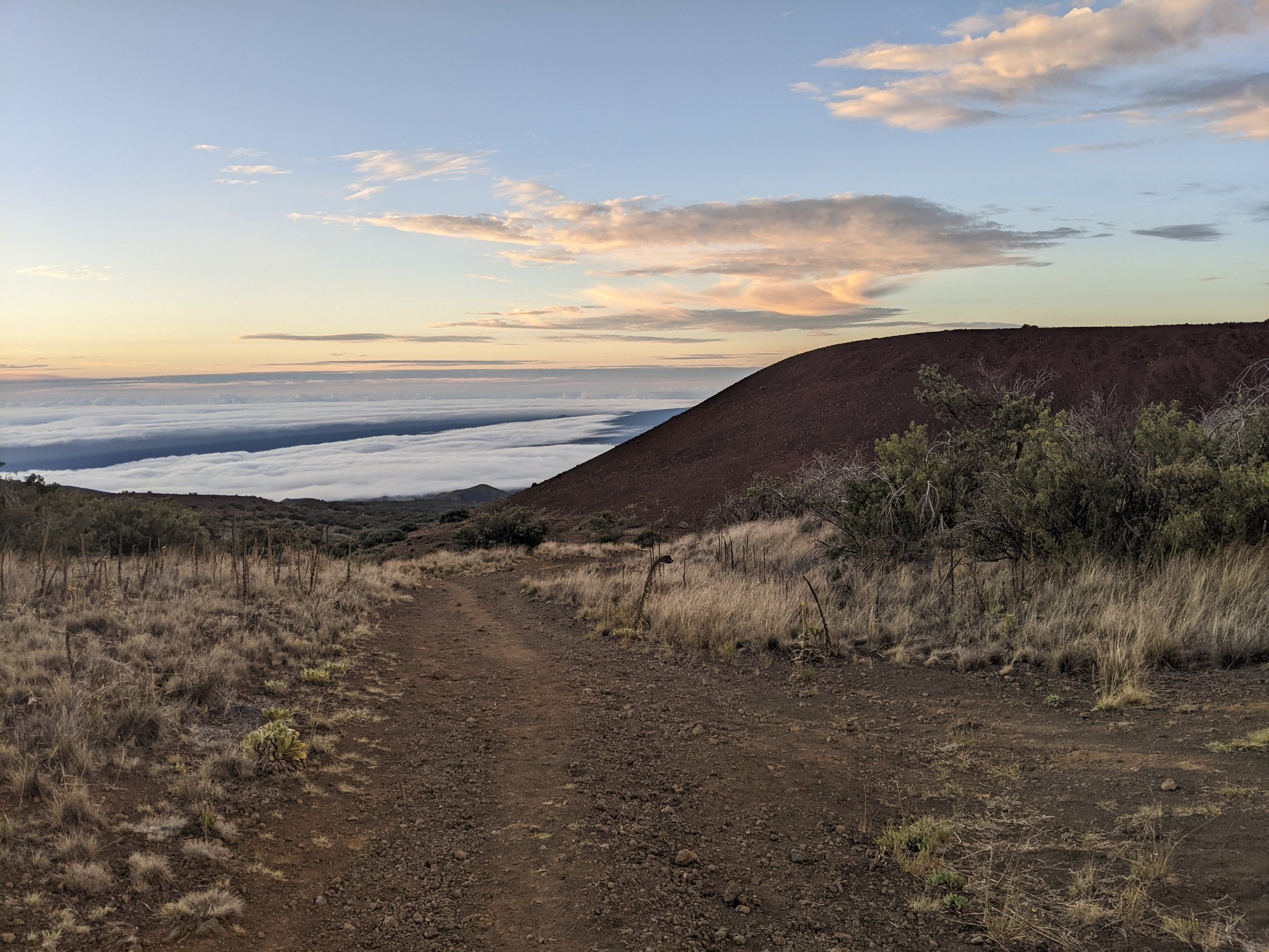 mauna kea 3.jpg