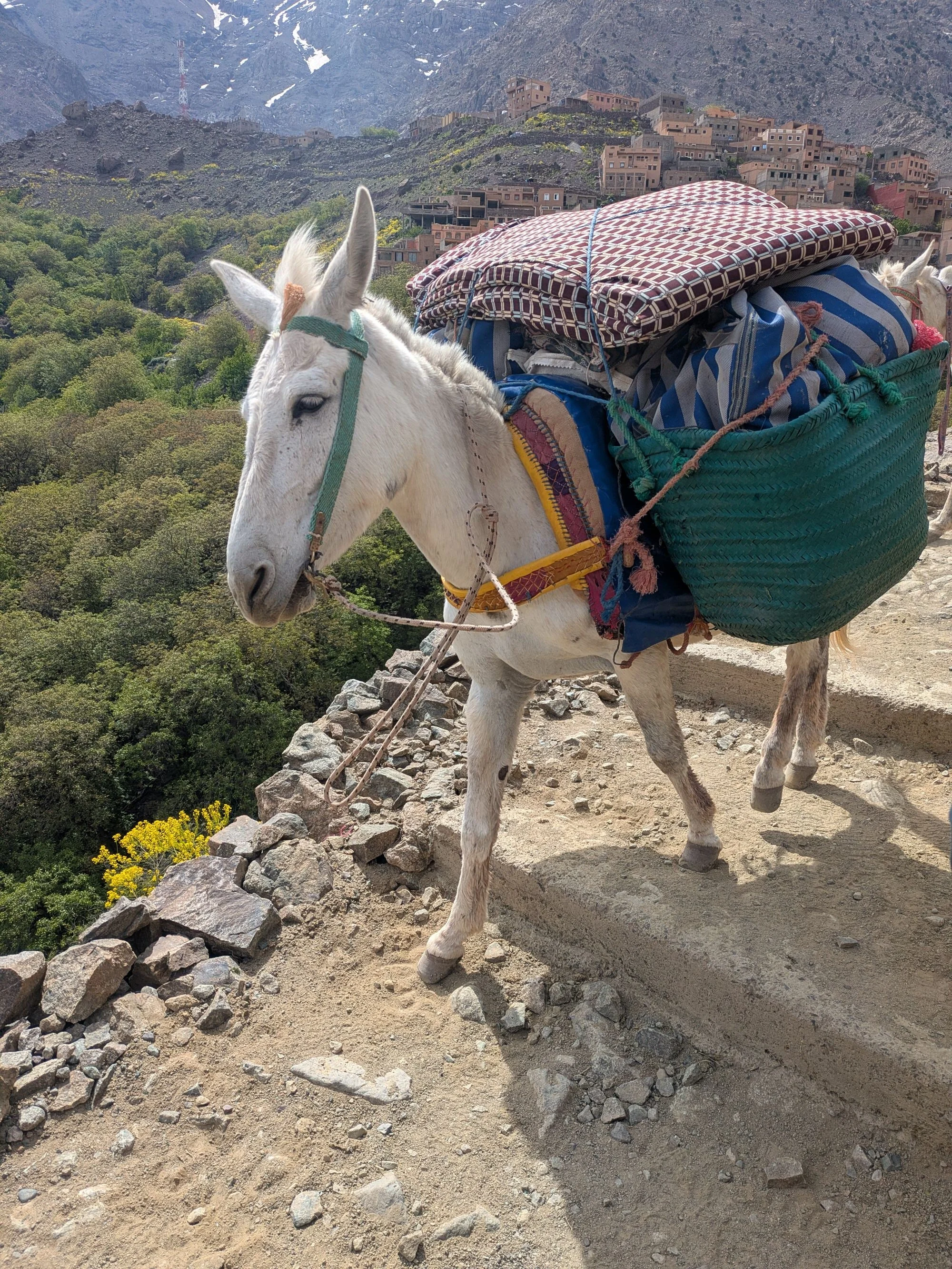toubkal hike 4.jpg