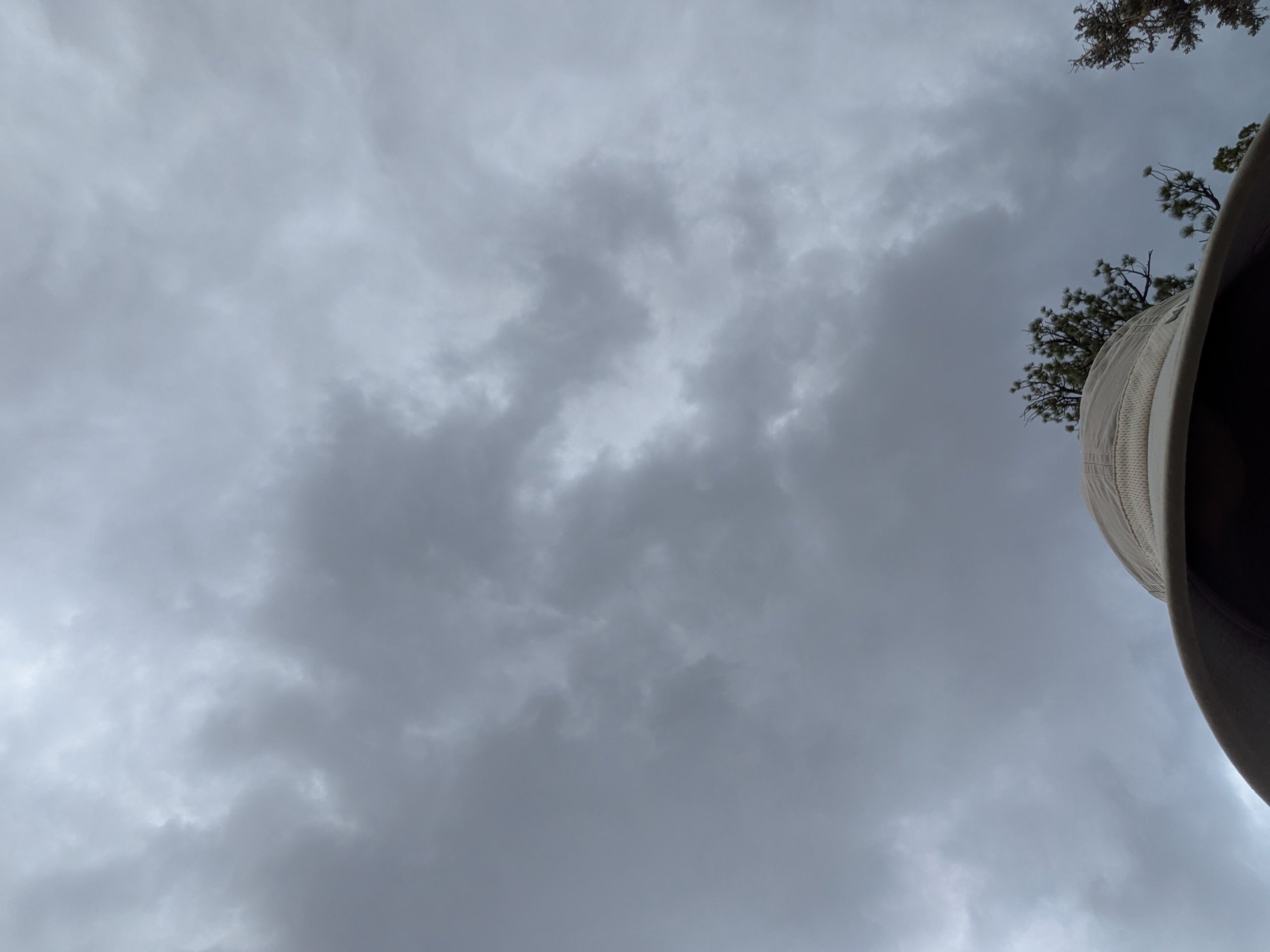 PXL_20250702_214637913.jpg