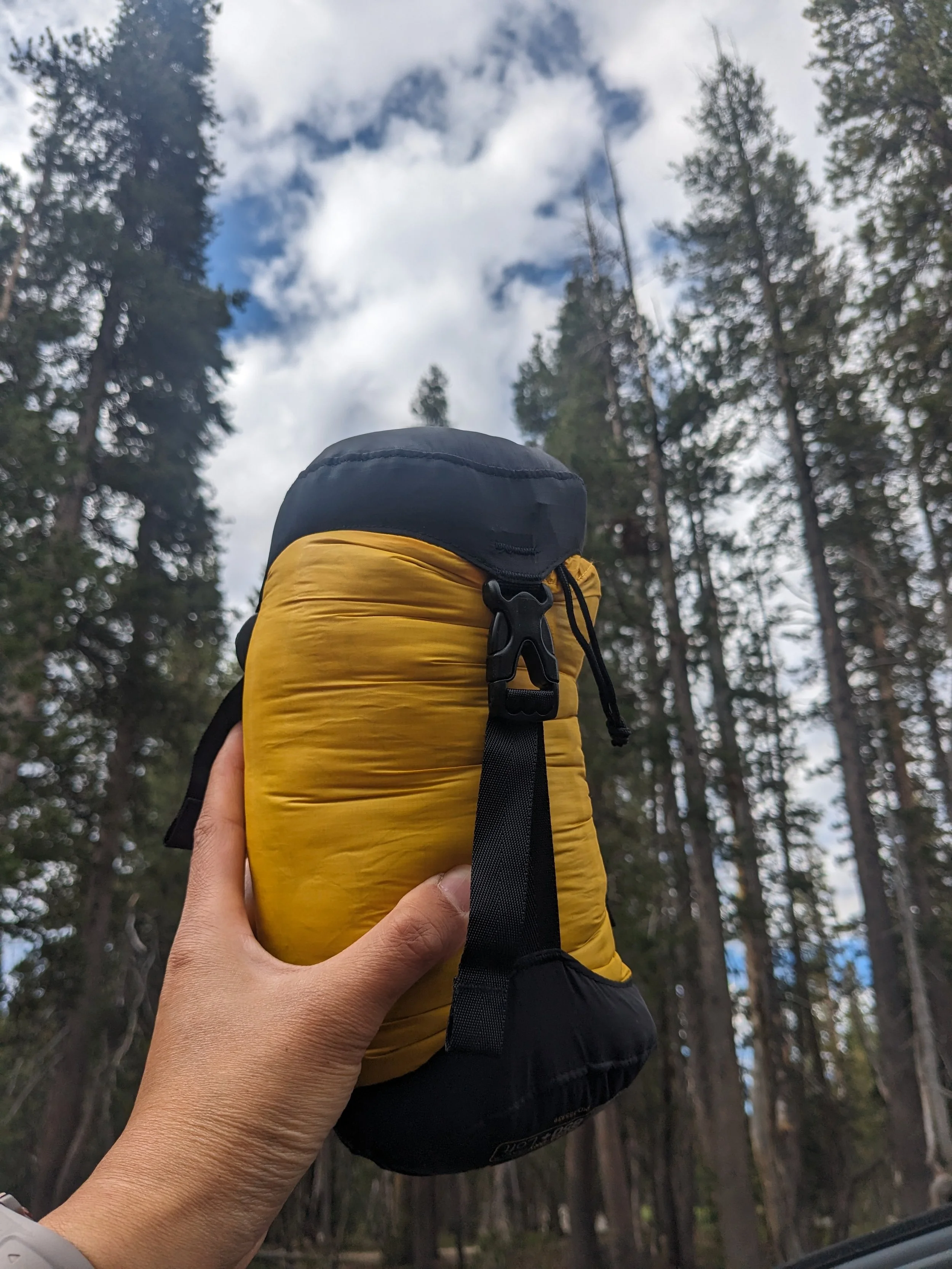 Person holding a yellow and black compressed sleeping bag in a forest with tall trees and cloudy sky
