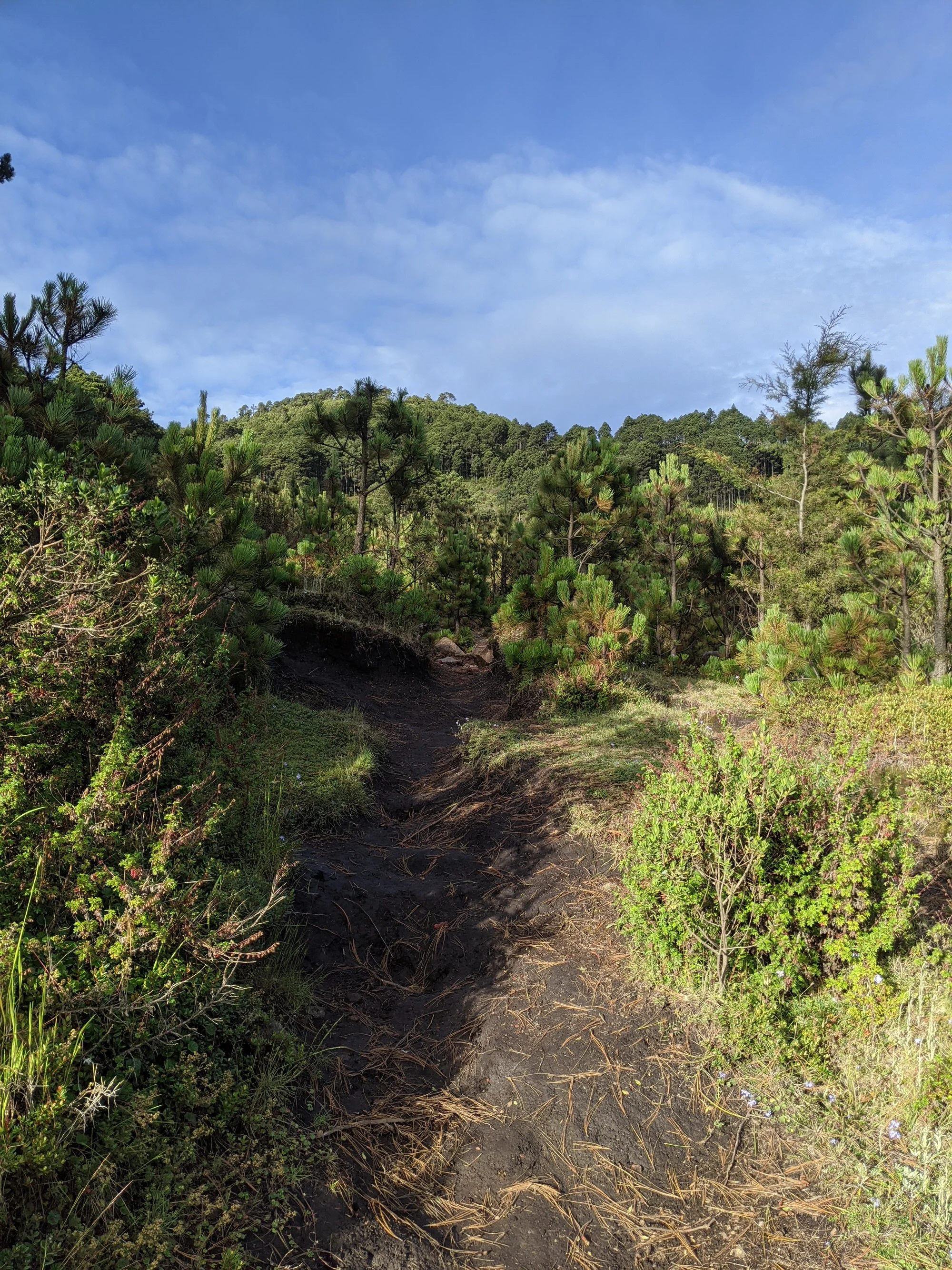 volcano tajumulco 14.jpg
