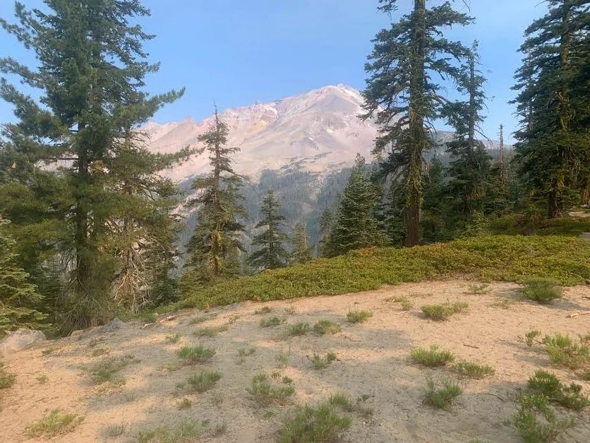 Shasta D1 17.jpeg