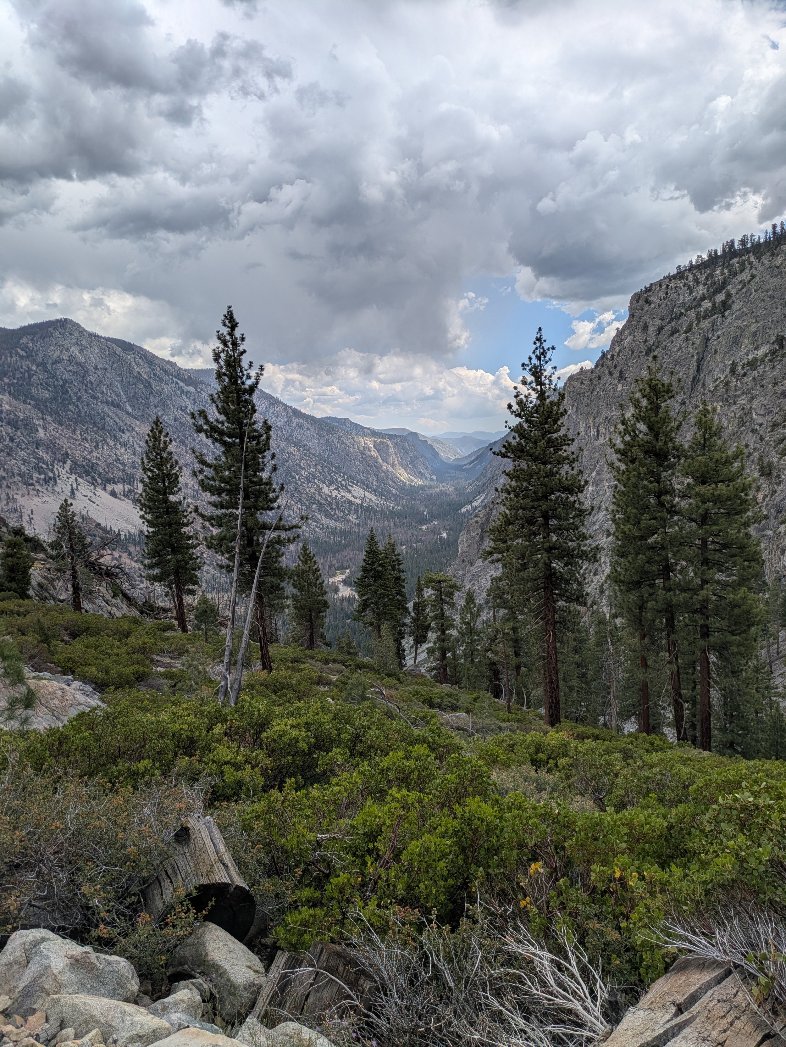 PXL_20250702_222744023.jpg