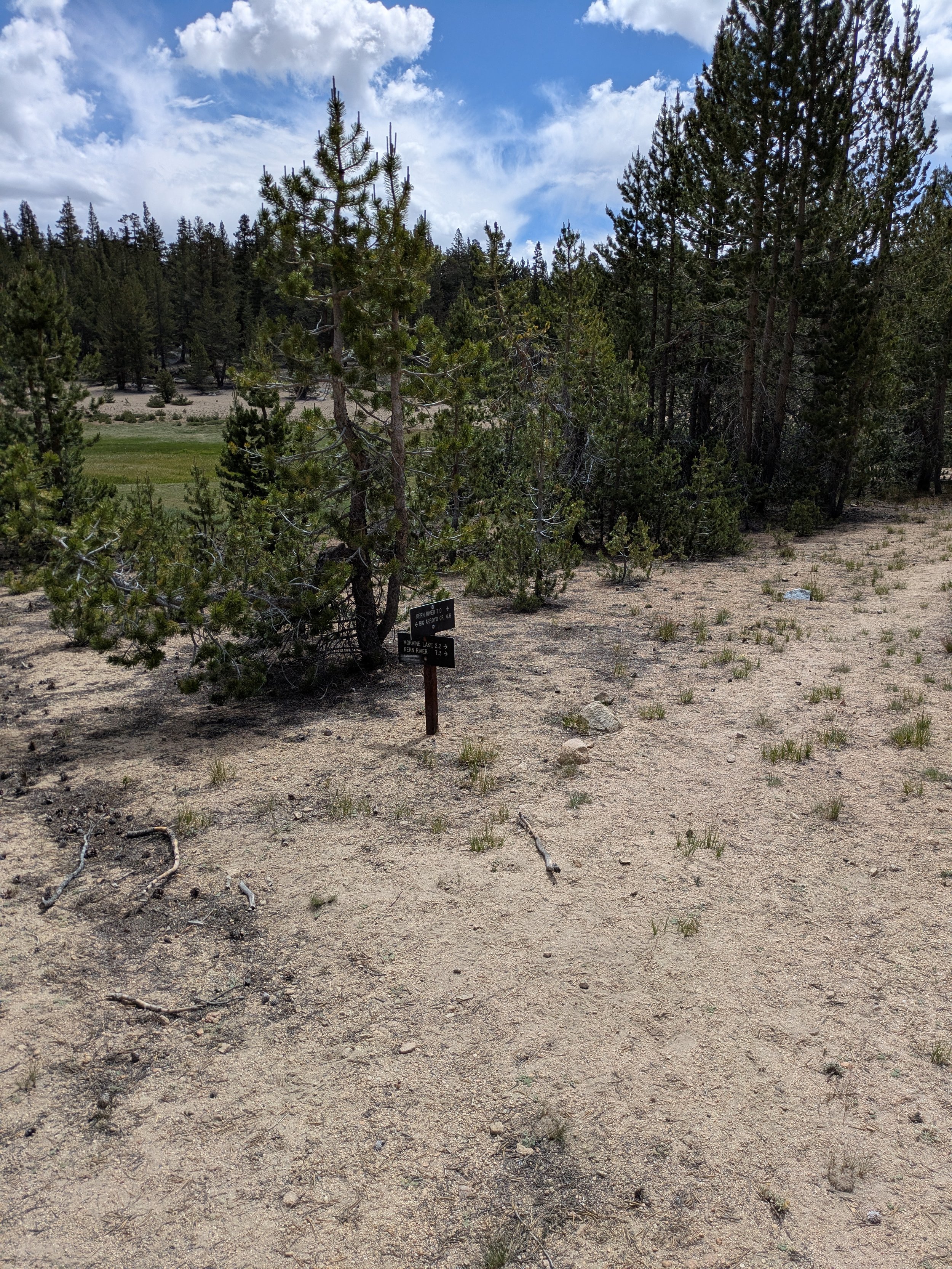 PXL_20250702_174249137.jpg