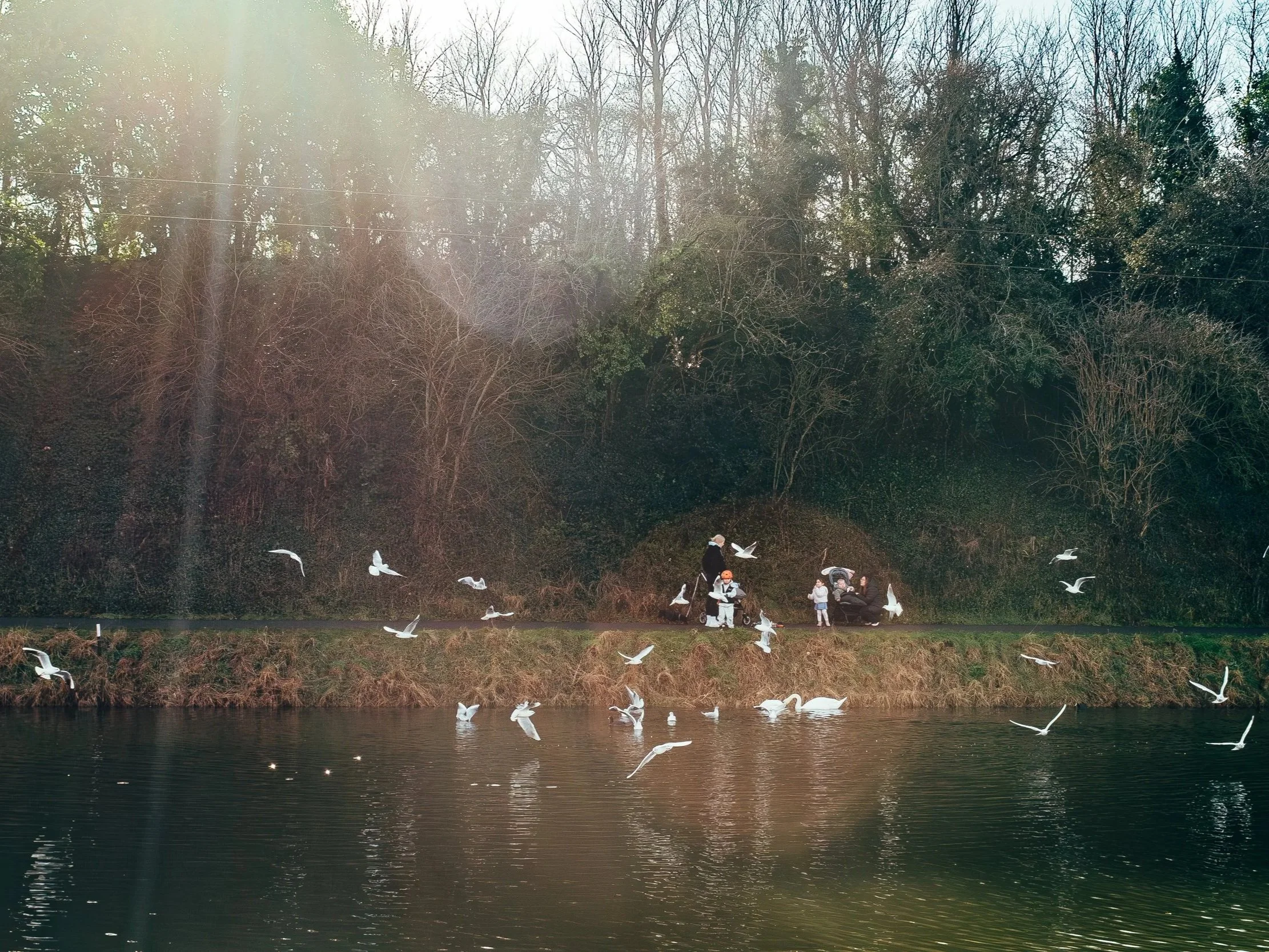 Hilsea Through a Lens May Photowalk