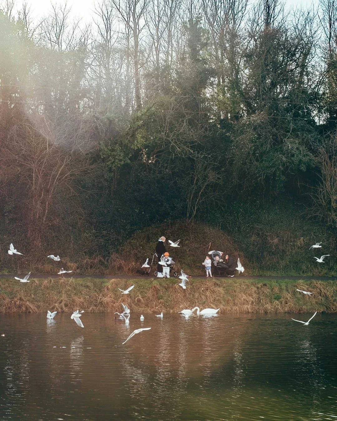 One day to go until our Hilsea Through a Lens photowalk with @communityspotlightportsmouth 

Join us tomorrow for an afternoon of photographing, connecting and exploring the everyday through your lens. Led by @eddie.stenstrom72, the session will incl