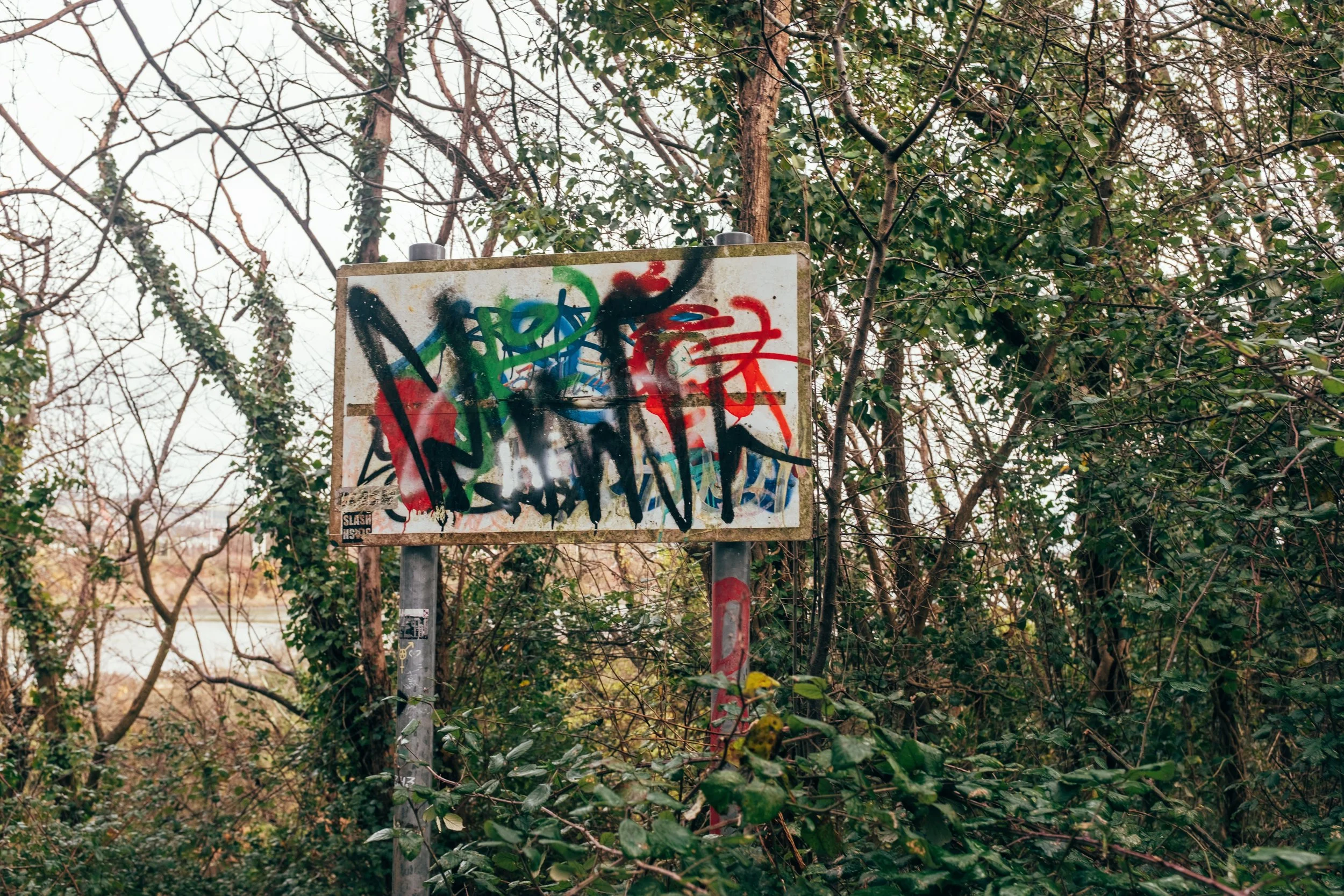 Hilsea Through a Lens June Photowalk