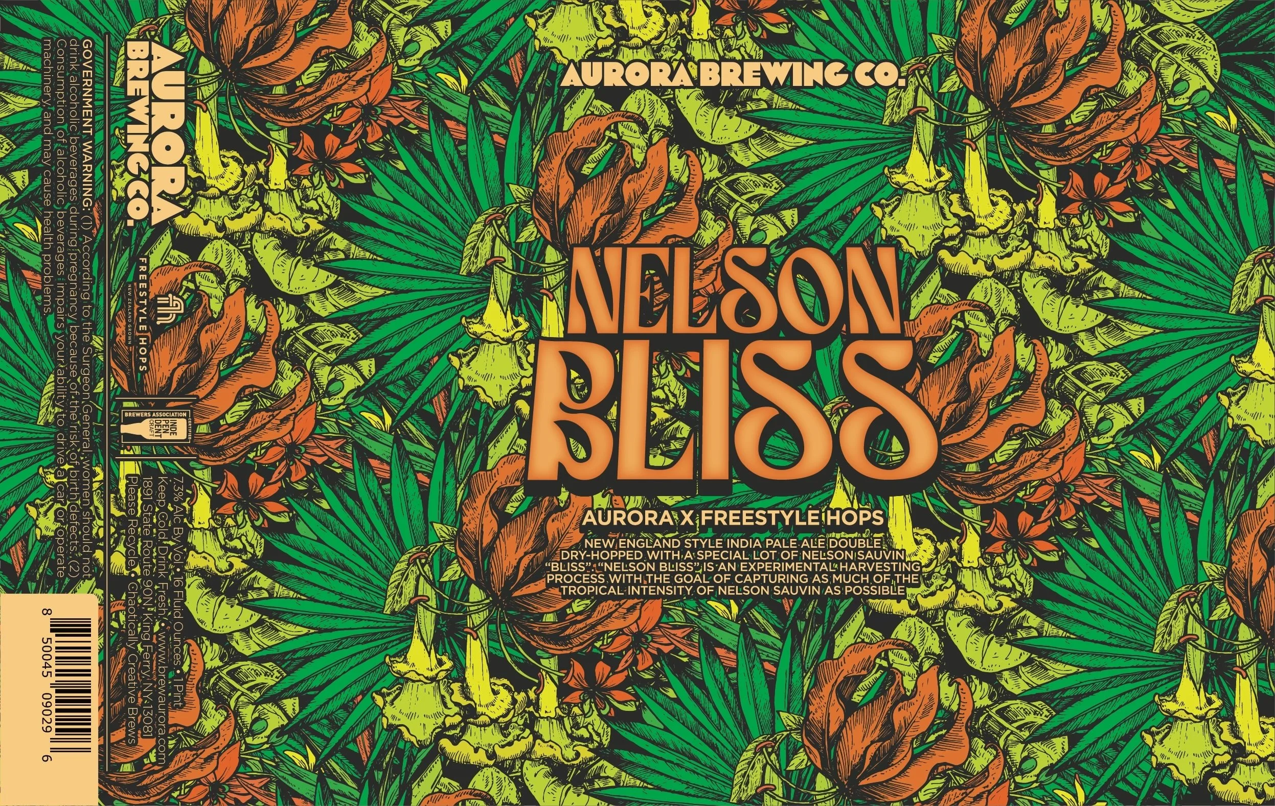 Nelson Bliss ( Aurora x Freestyle Hops)