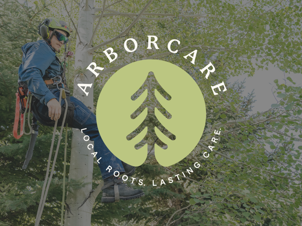 ArborCare Brand Identity & Website
