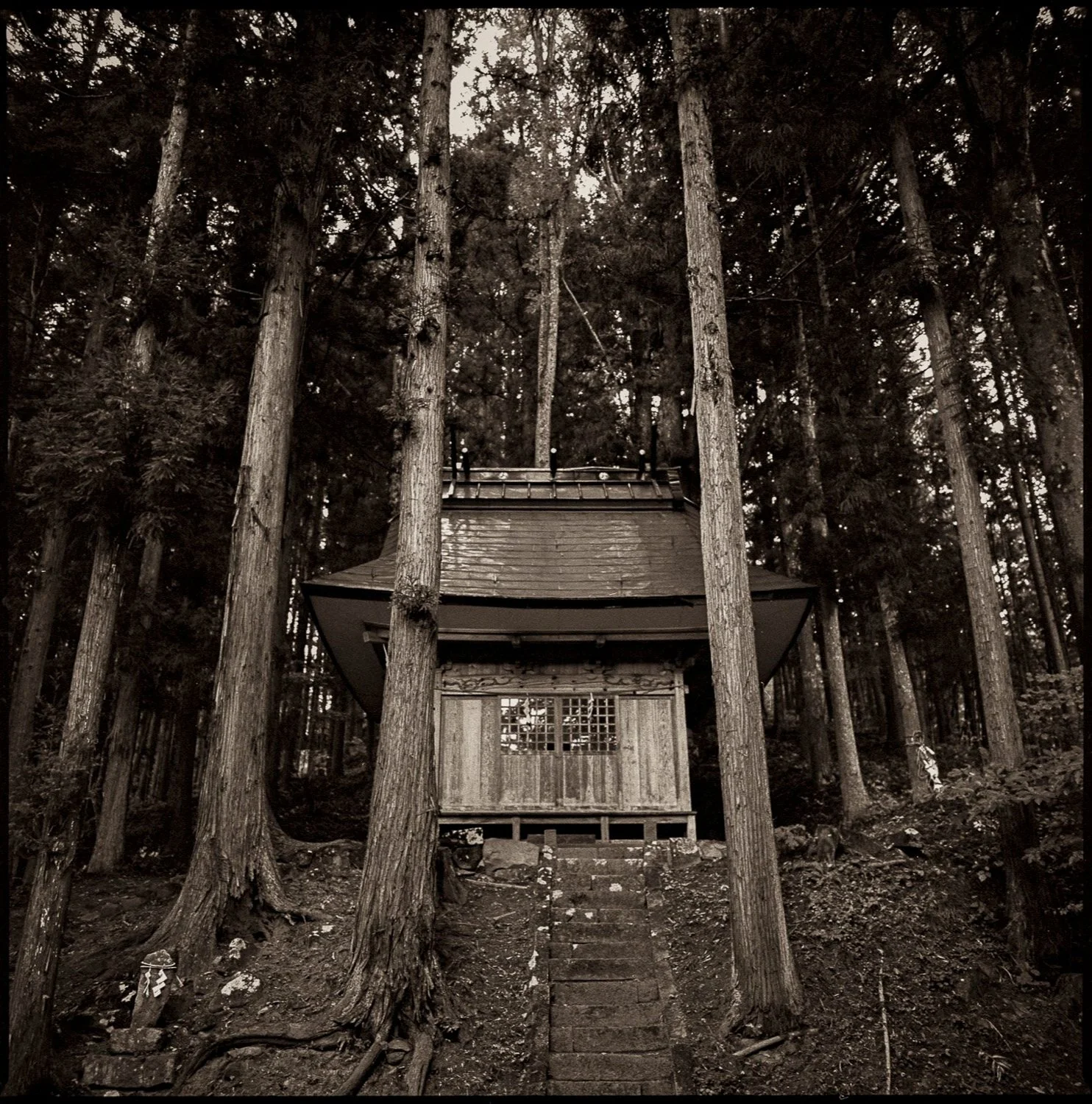 Small-Shrine-in-the-Woods-Hokkaido-Japan_1.jpg