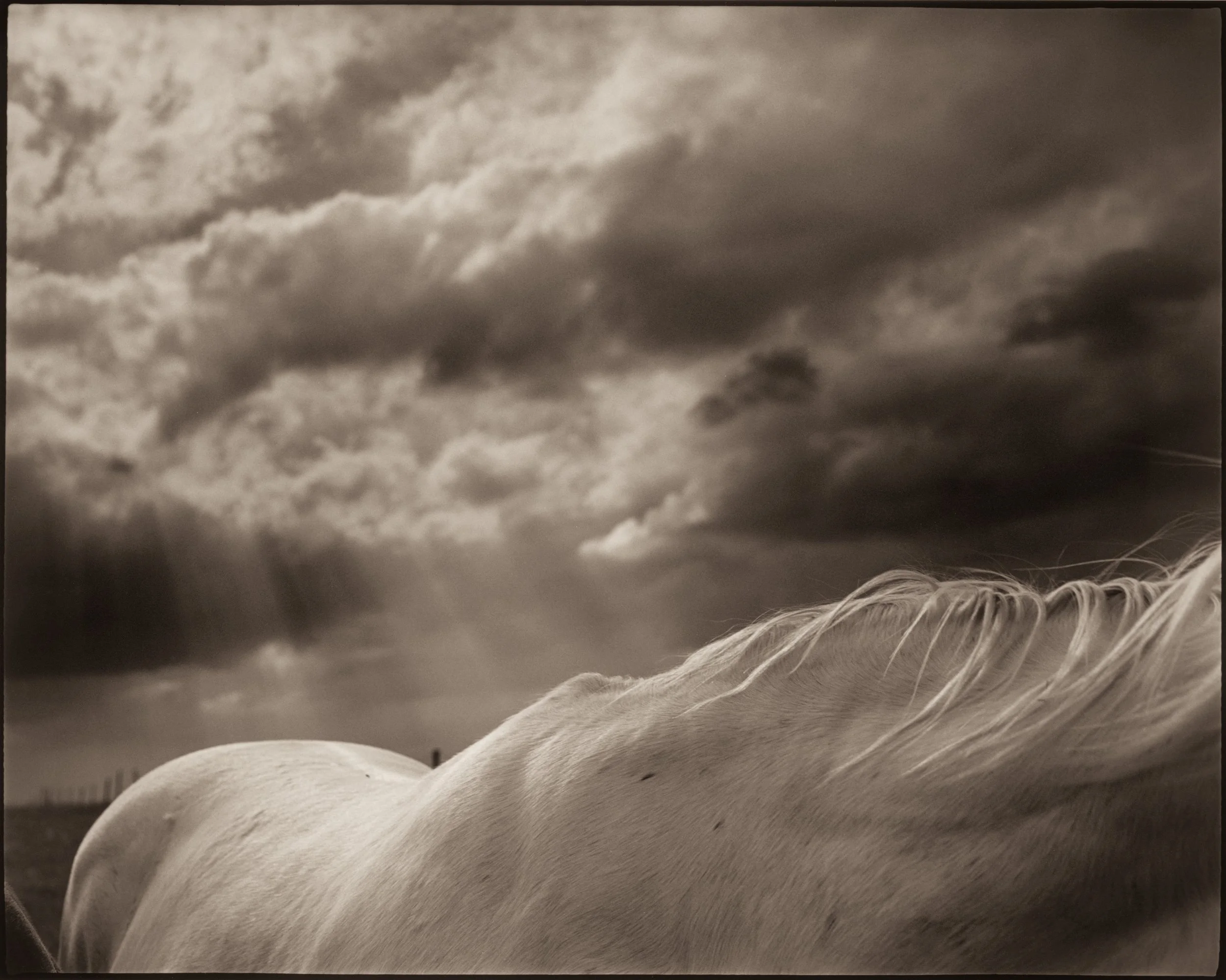 Douglas_Beasley_Horse In Badlands, South Dakota.jpg