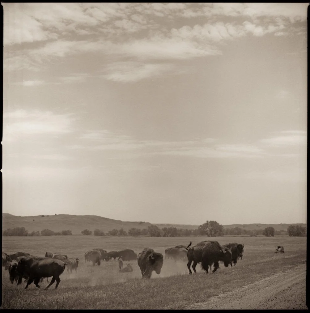 1207SacredLandscape011.jpg