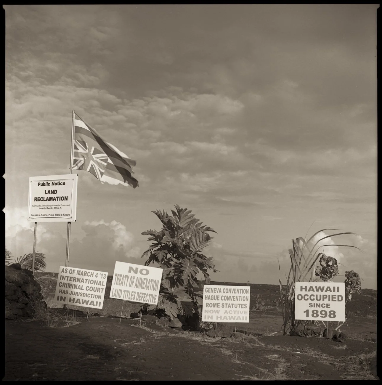 1403_Hawaii_046.jpg
