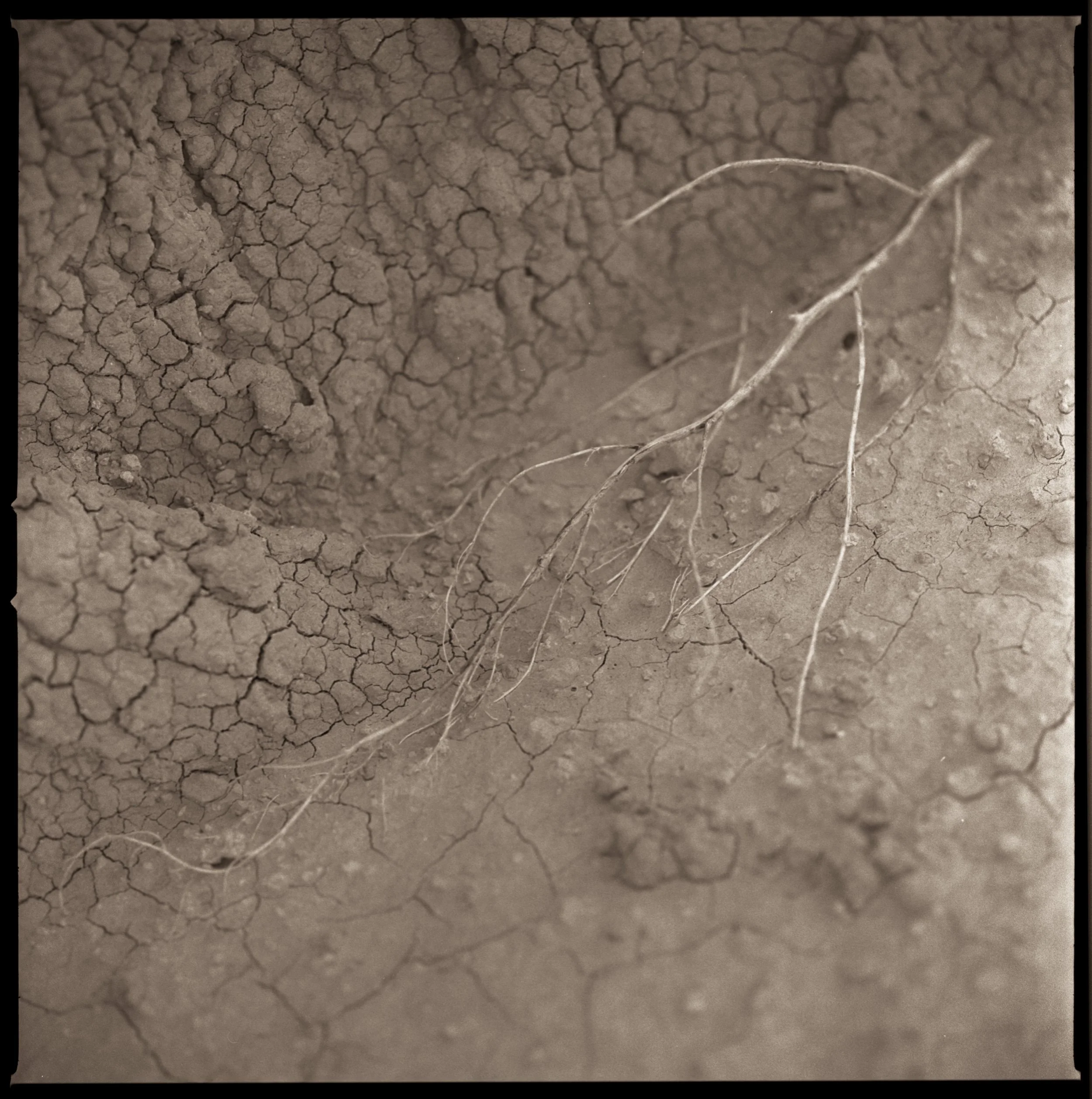 1207SacredLandscape010.JPG