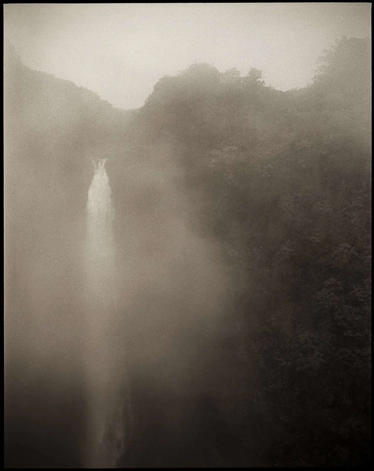 BigIsland2603_005.jpg