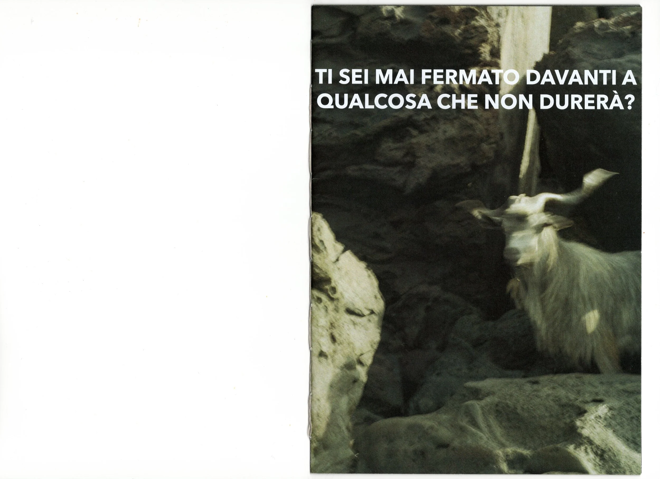 Ti sei mai... 1.jpeg