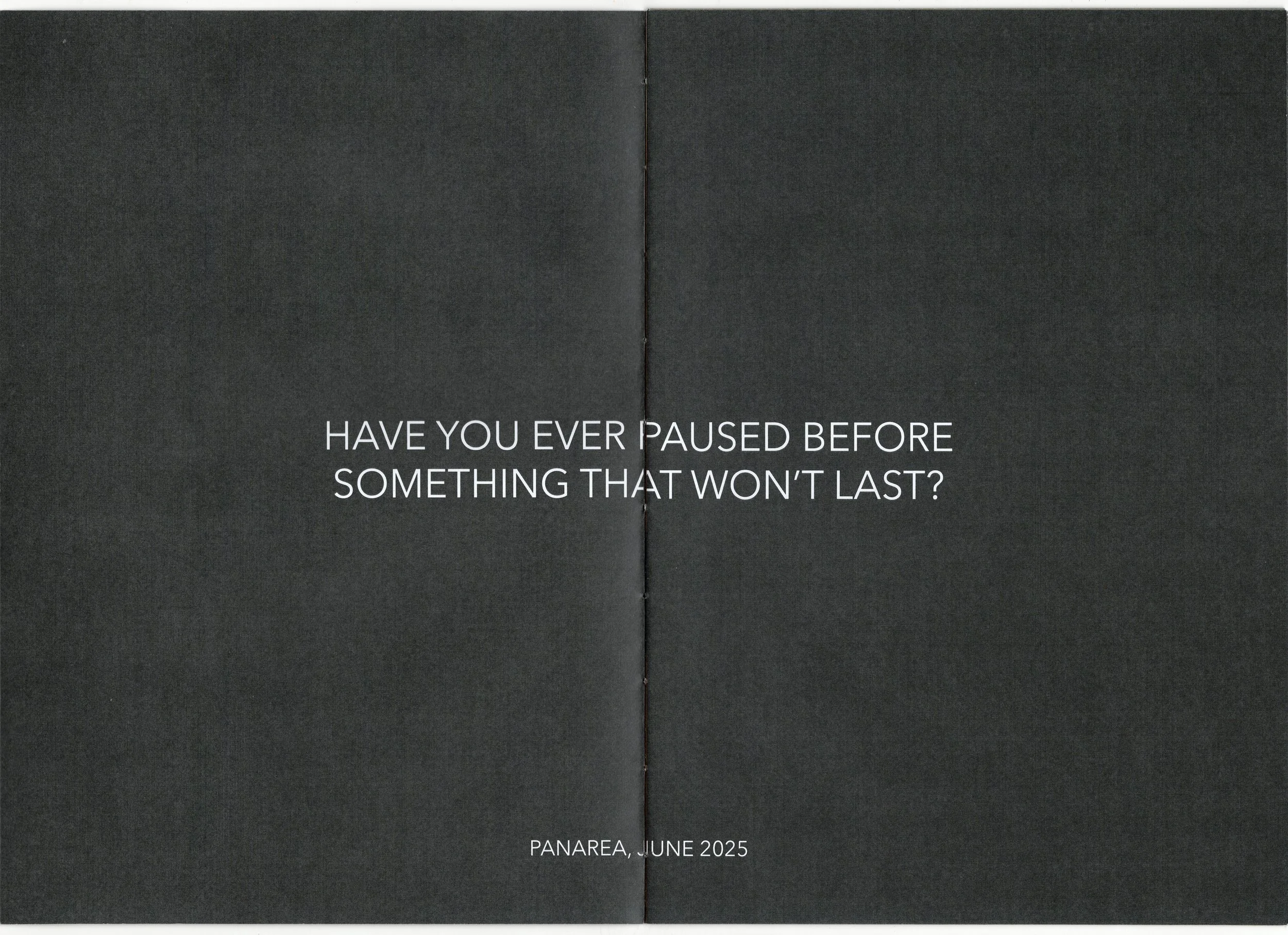 Ti sei mai... 2.jpeg