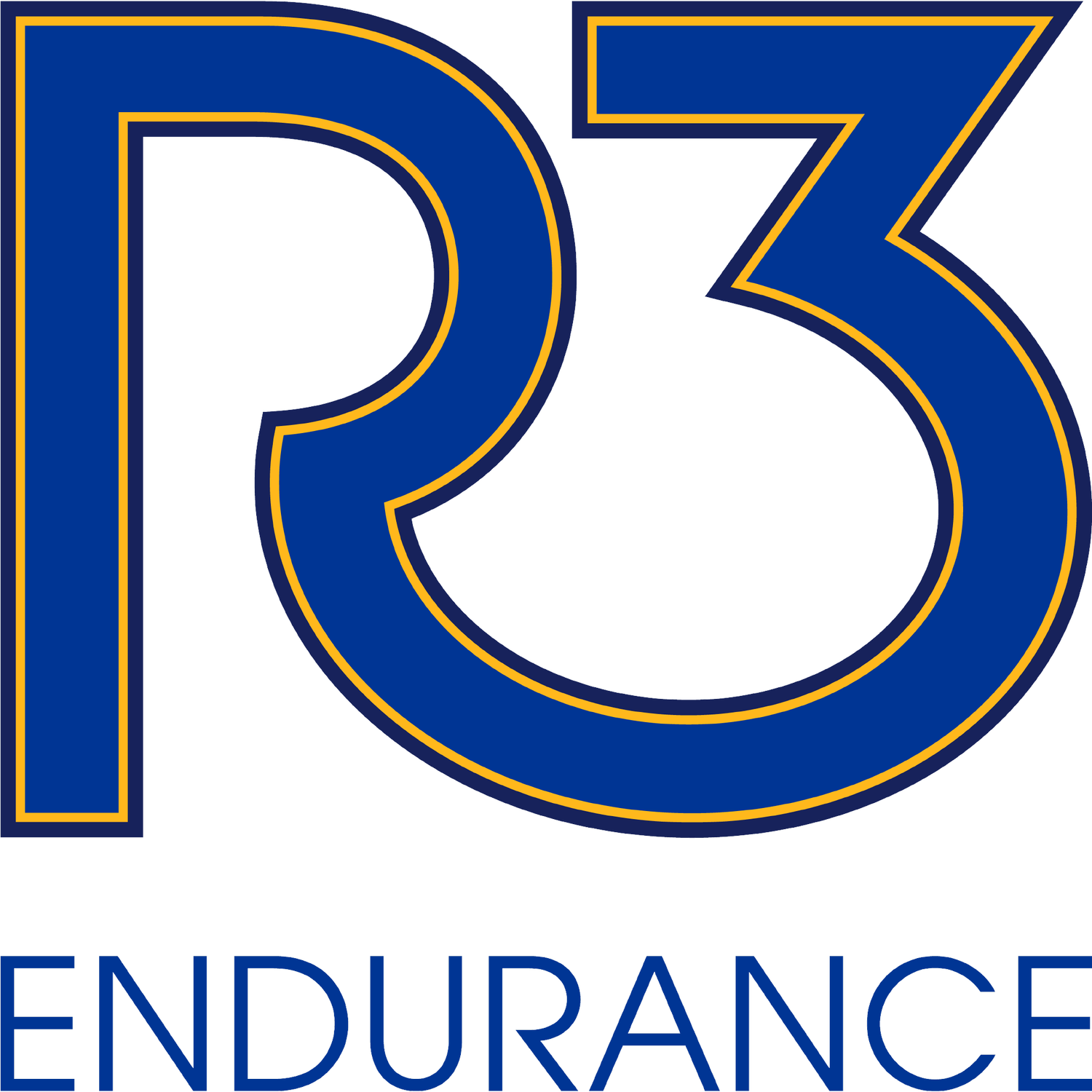 R3 Endurance
