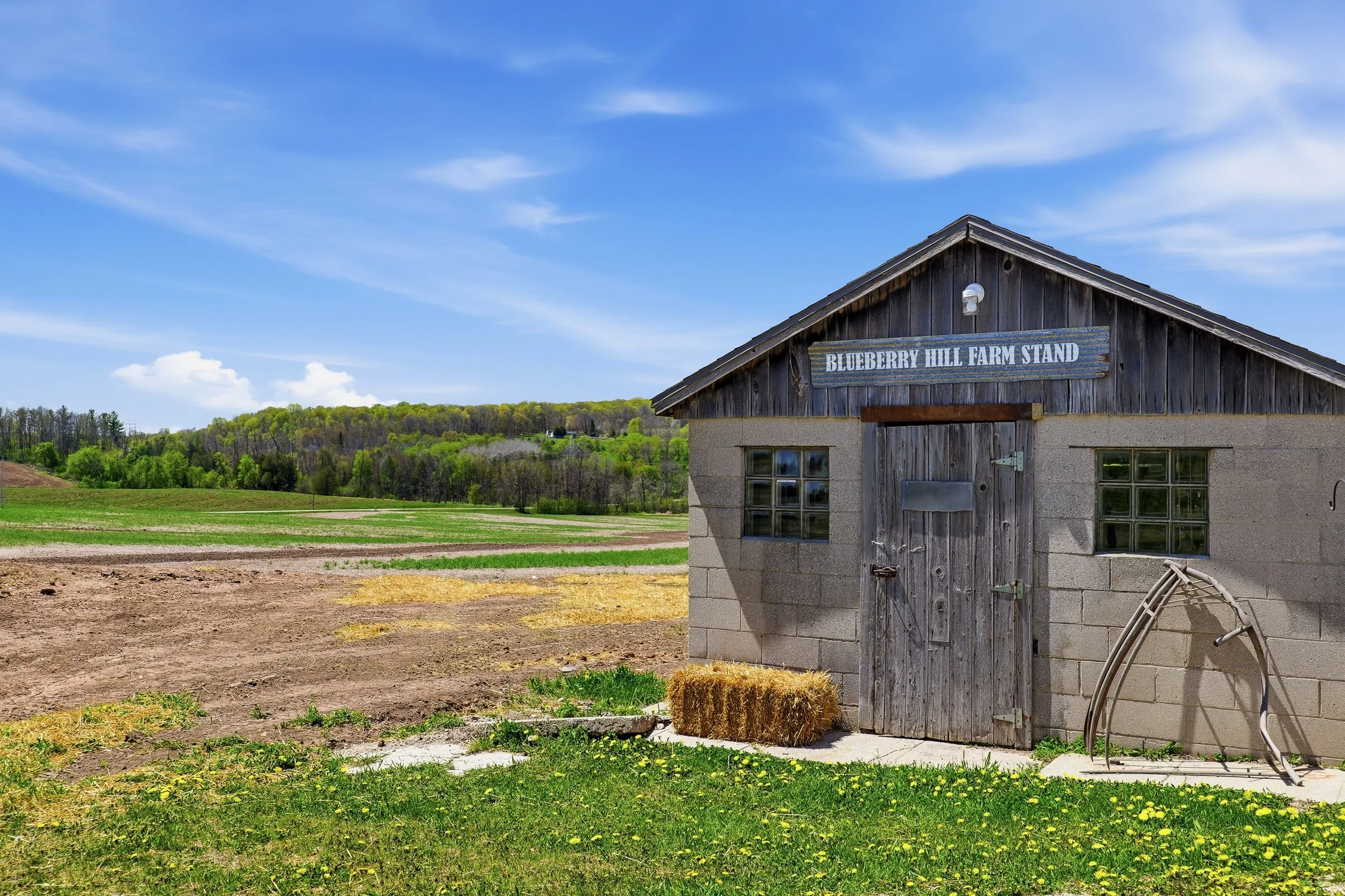 N4960BlueberryLn-47.jpg