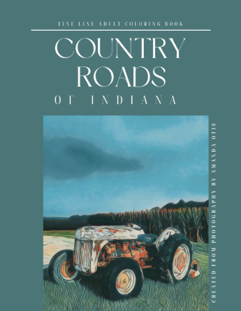 Country Roads 1 (blue) Fineline Coloring Book
