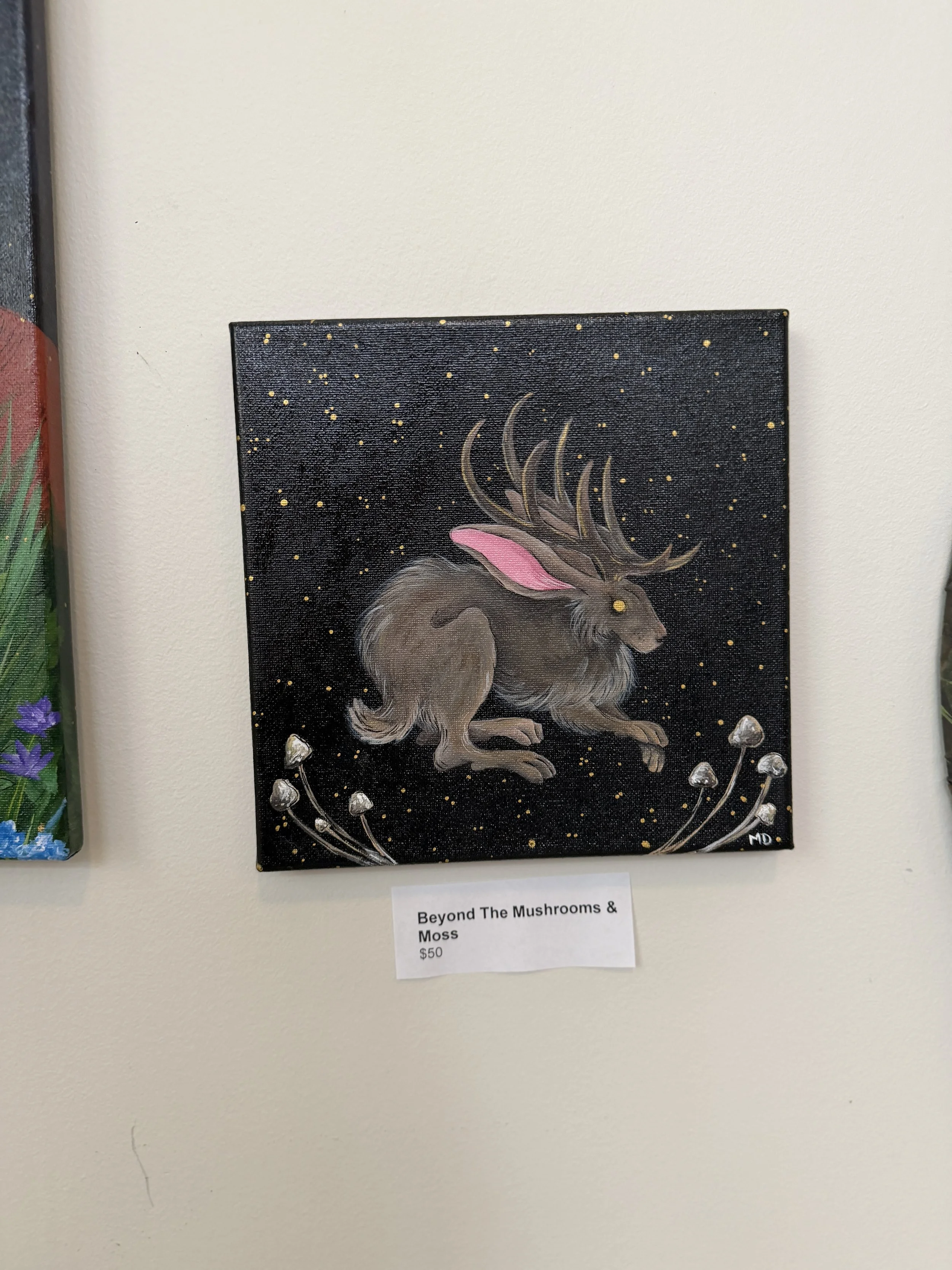 Beyond The Mushrooms And Moss