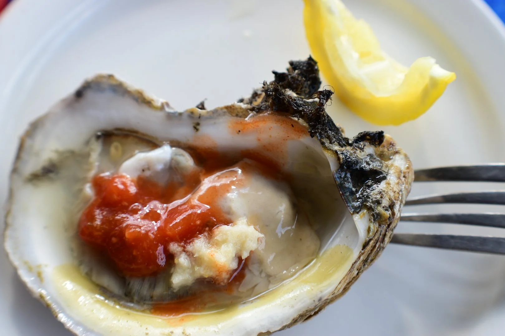 Yevette Lynn food photographer captures fresh oyster on half shell with lemon and sauce, close-up culinary photograph highlighting texture and coastal flavor.