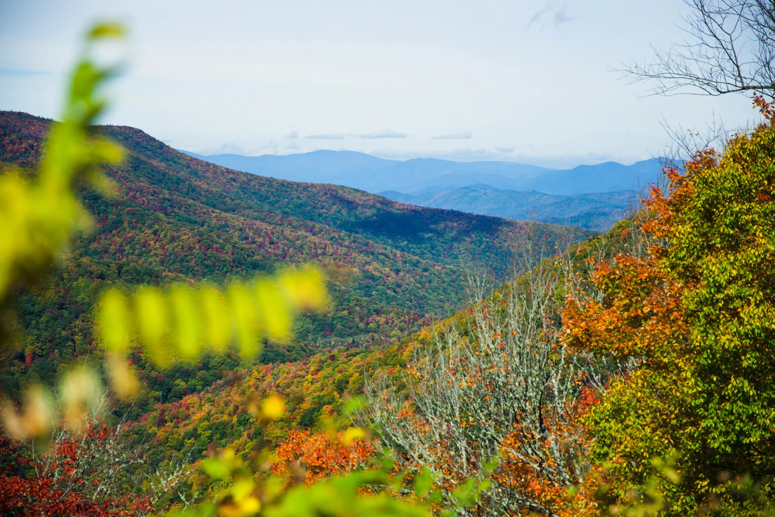 Backroad No. 08 — Valley Passage