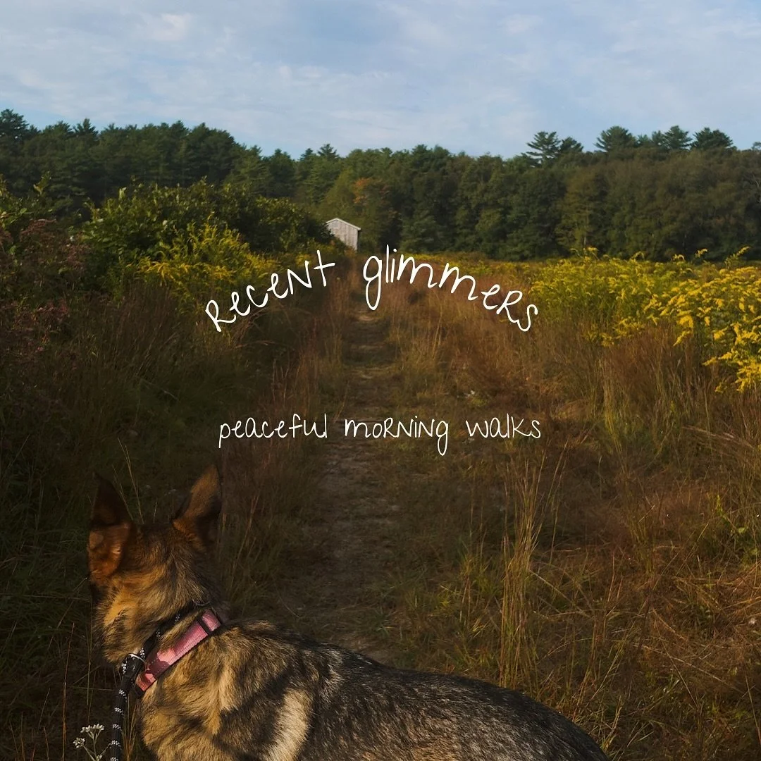 Anyone else in their sourdough era? It&rsquo;s a full time job😅

❕❕Reminder: Instagram and social media are used for educational and entertainment purposes only and should never be viewed in place of therapy.&nbsp;

💬Looking for a therapist &amp; l