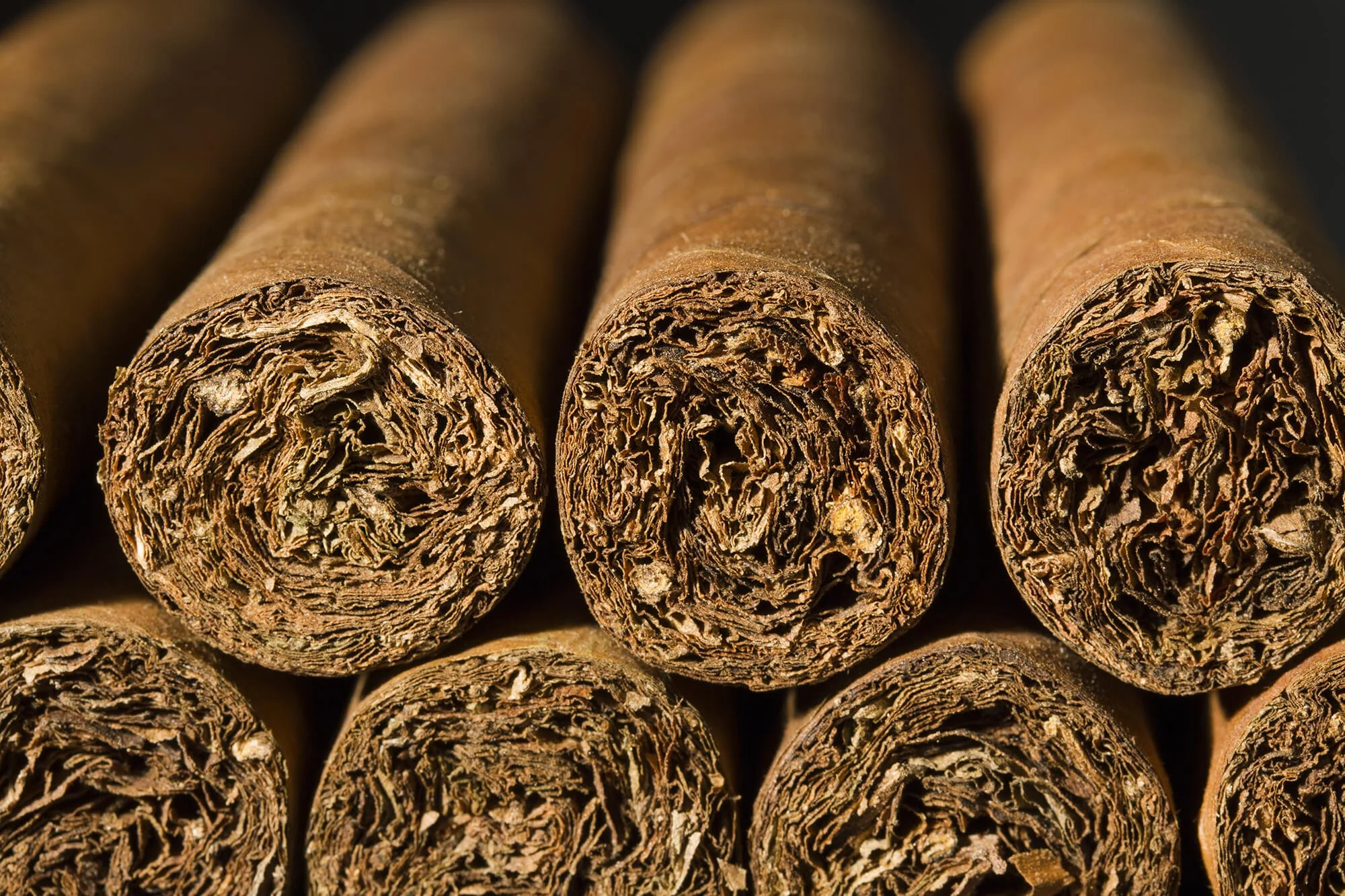Close-up of rolled cigars showing textured interior.