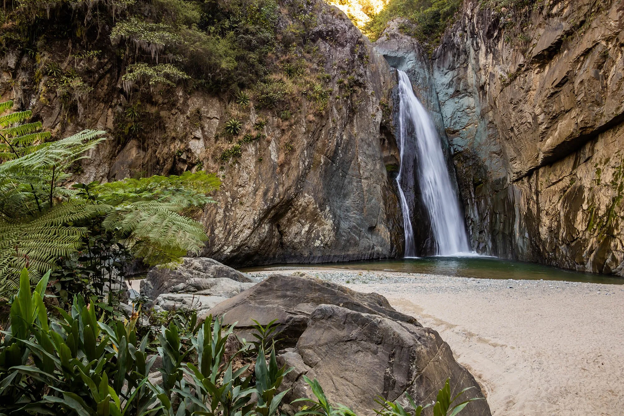 A waterfall flowing down a rocky cliff into a small pool surrounded by rocks, ferns, and lush green vegetation in a forested area.