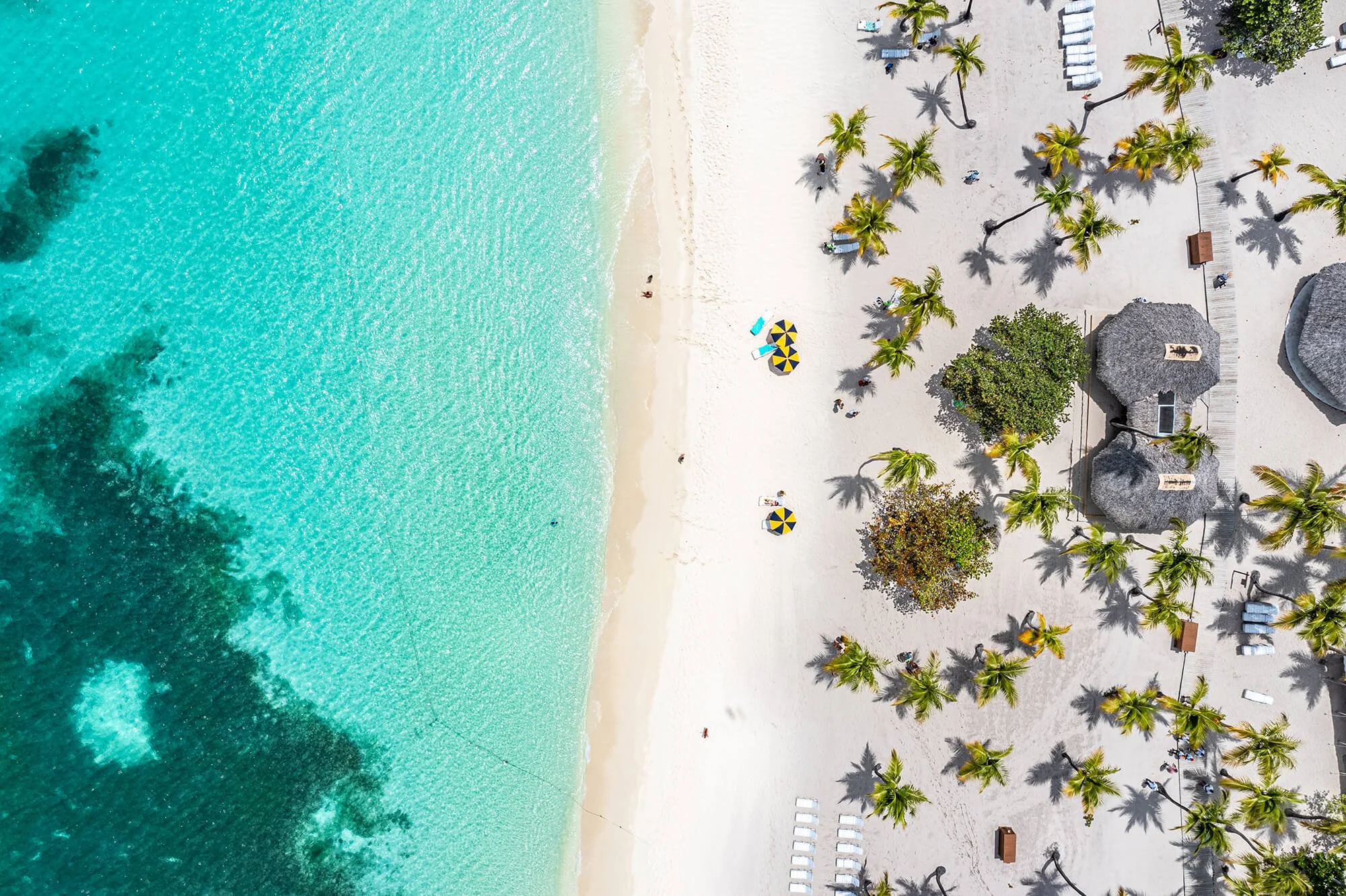 Bird's-eye view of a tropical beach with turquoise water, white sand, palm trees, beach umbrellas, lounge chairs, and thatched-roof structures.