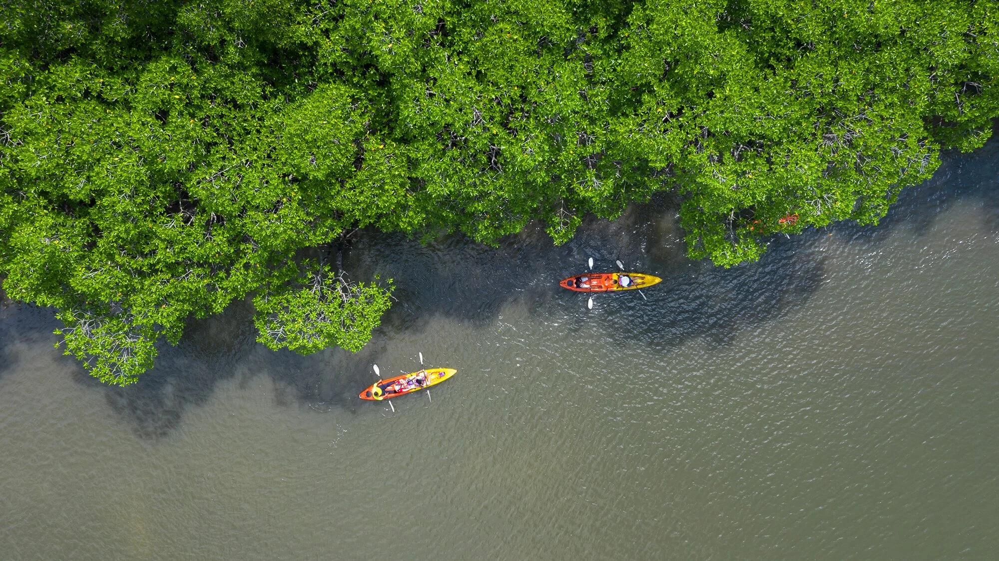 Aerial view of two kayakers paddling through a waterway past lush green trees along the shoreline.