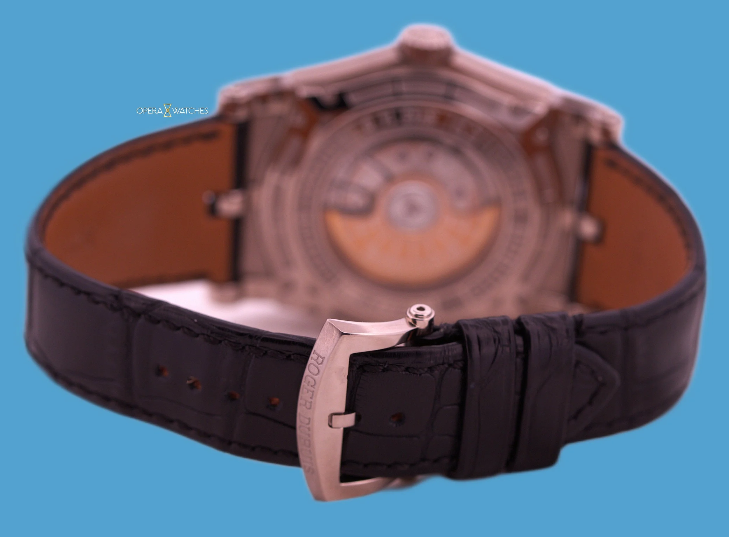 _MG_9745_inPixio (2).jpg