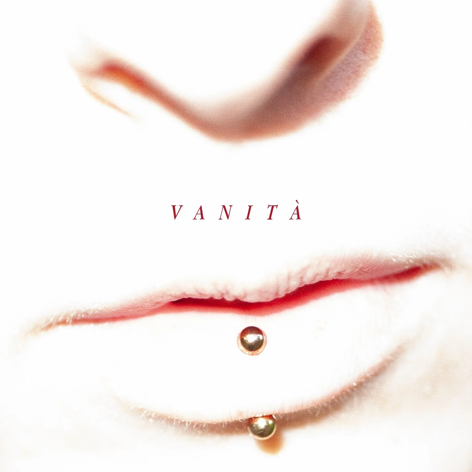 vanità cover alternativa 2.jpg
