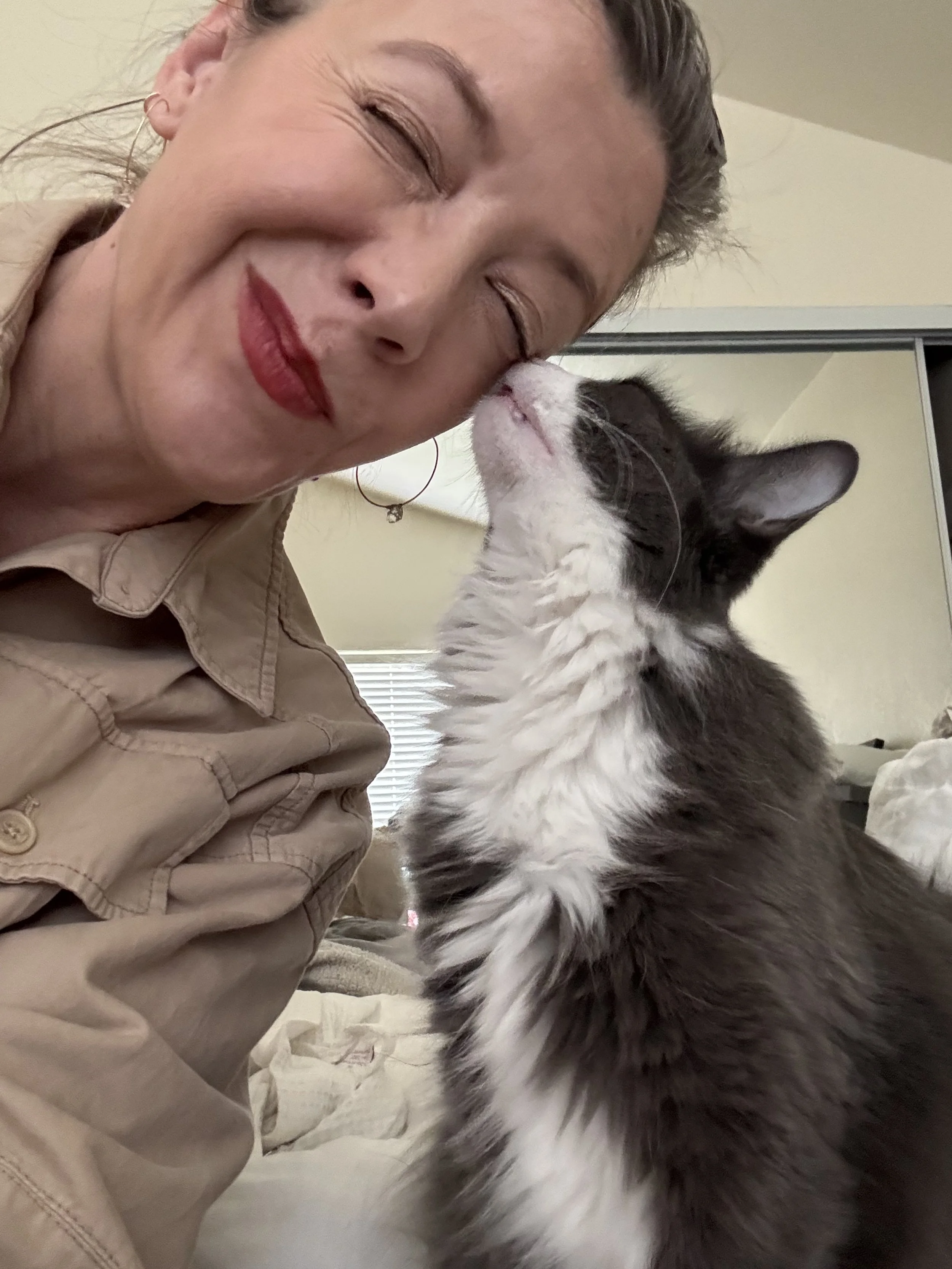 Woman with gray and white cat kissing her face