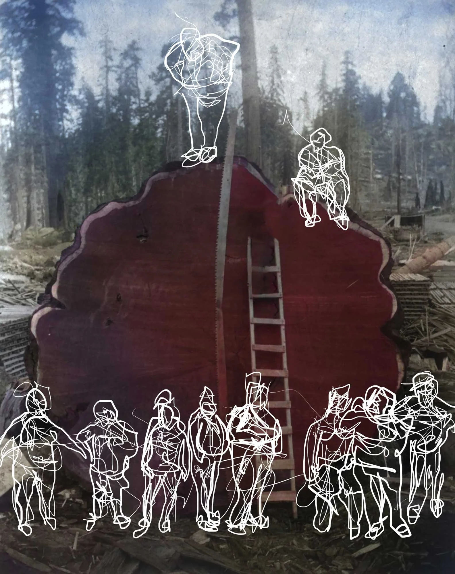 loggers.jpg