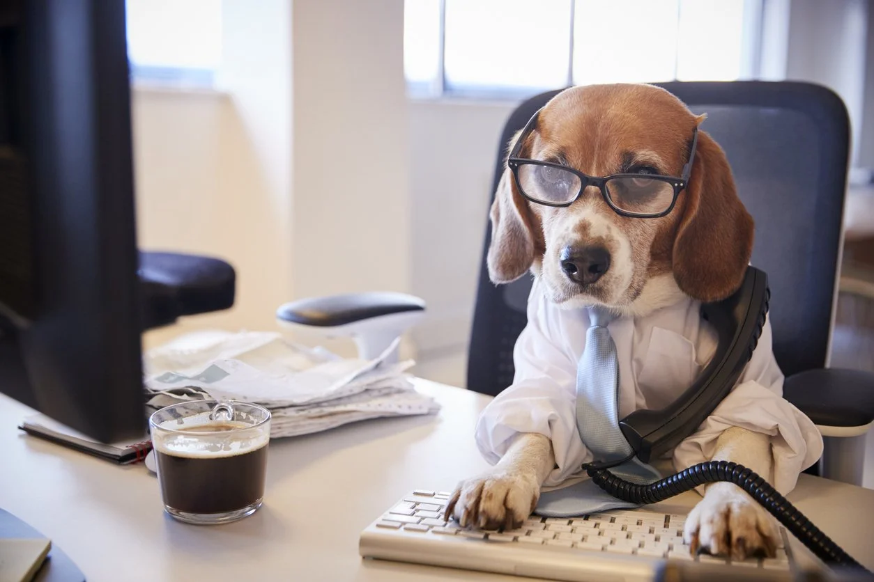 Before You Terminate: Four Questions Every Leader Should Ask.