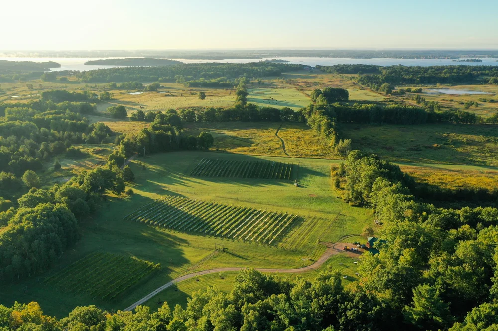 Grindstone Island Winery