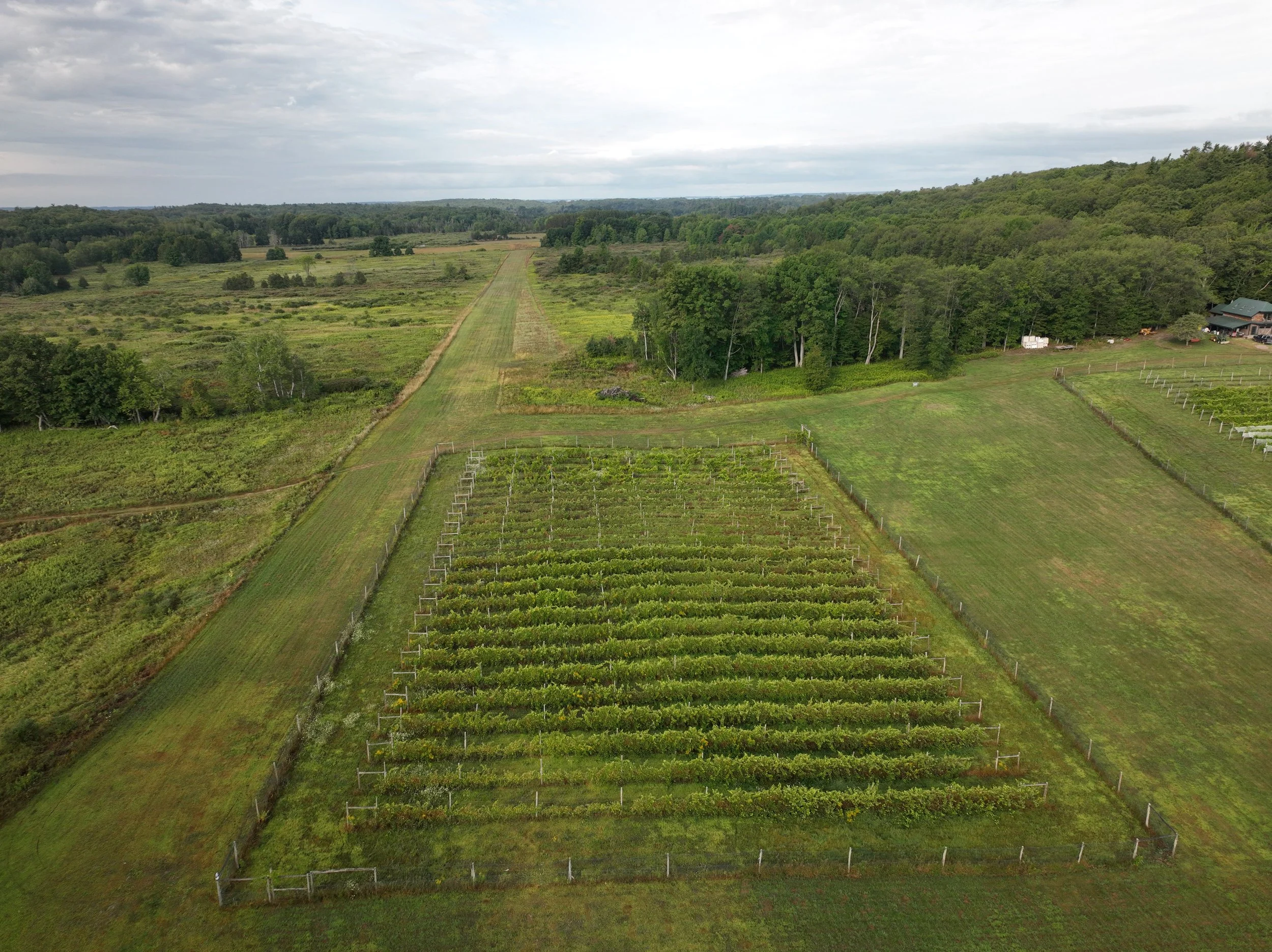 Visit — Grindstone Island Winery