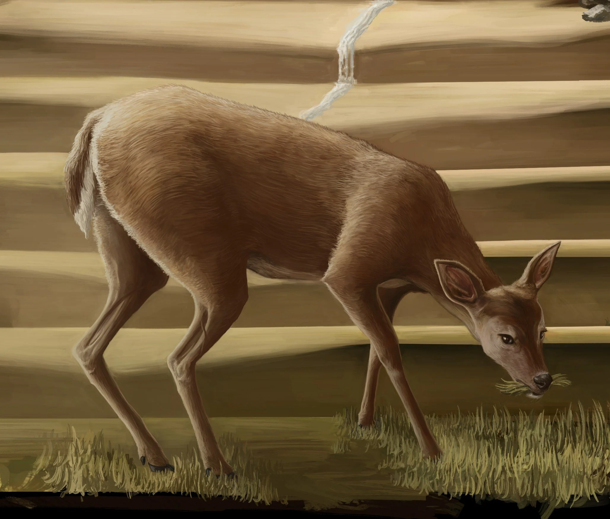 Five artwork work in progress by Lee McGuire